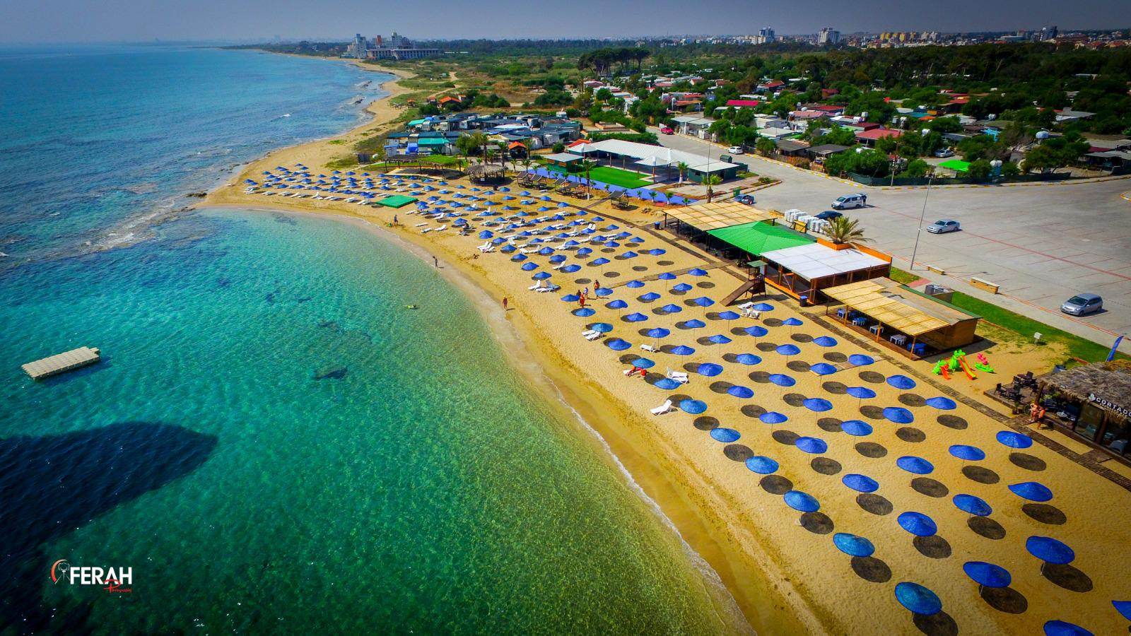 350815548_500069545590750_795784279019917404_n