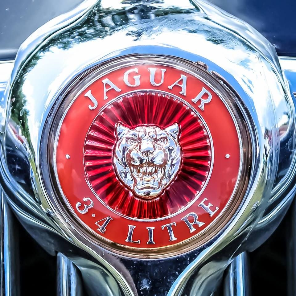 antikaci-bagimsiz-jaguar (8)