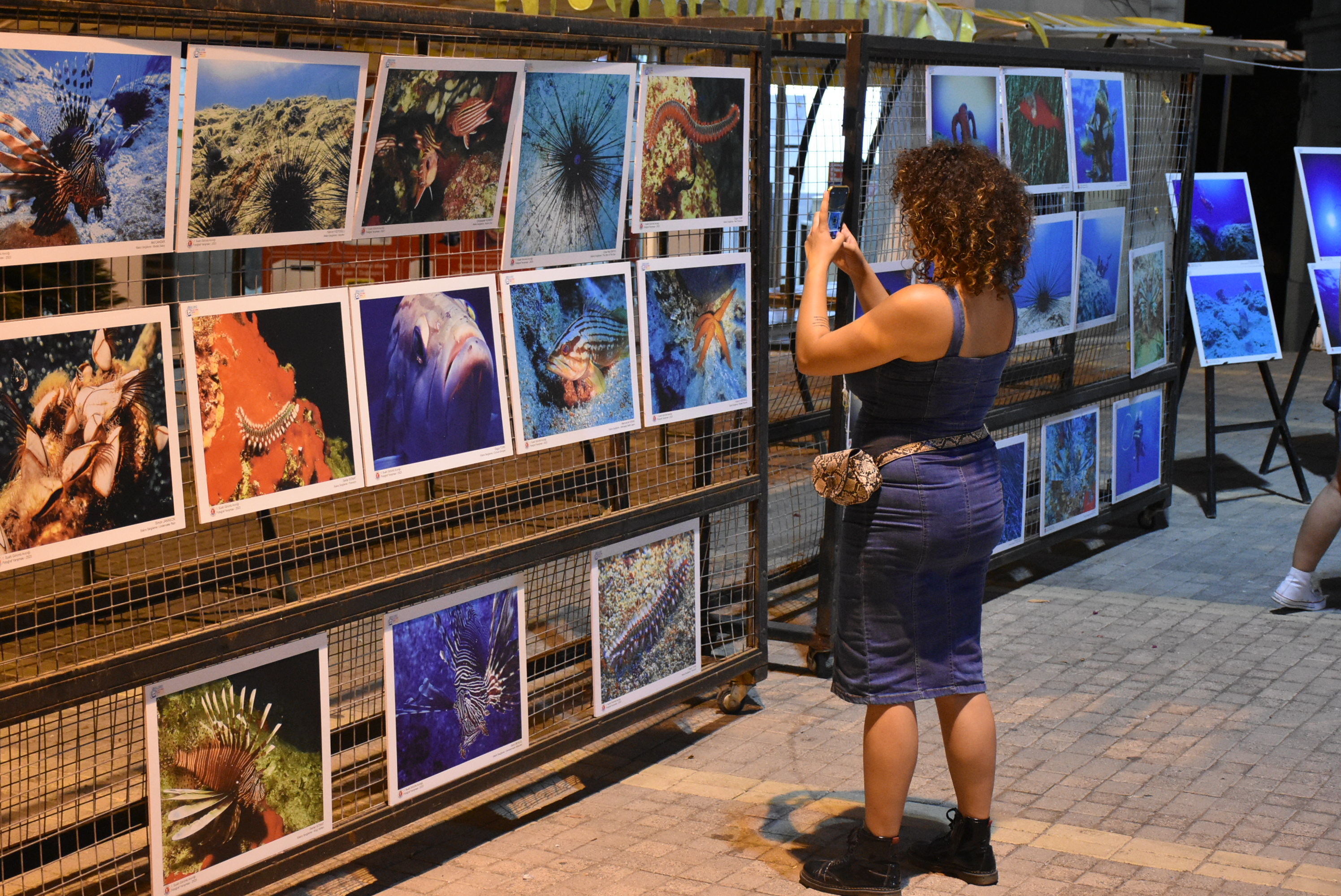 girne-belediyesi-sualti-fotograf-sergisi--1-