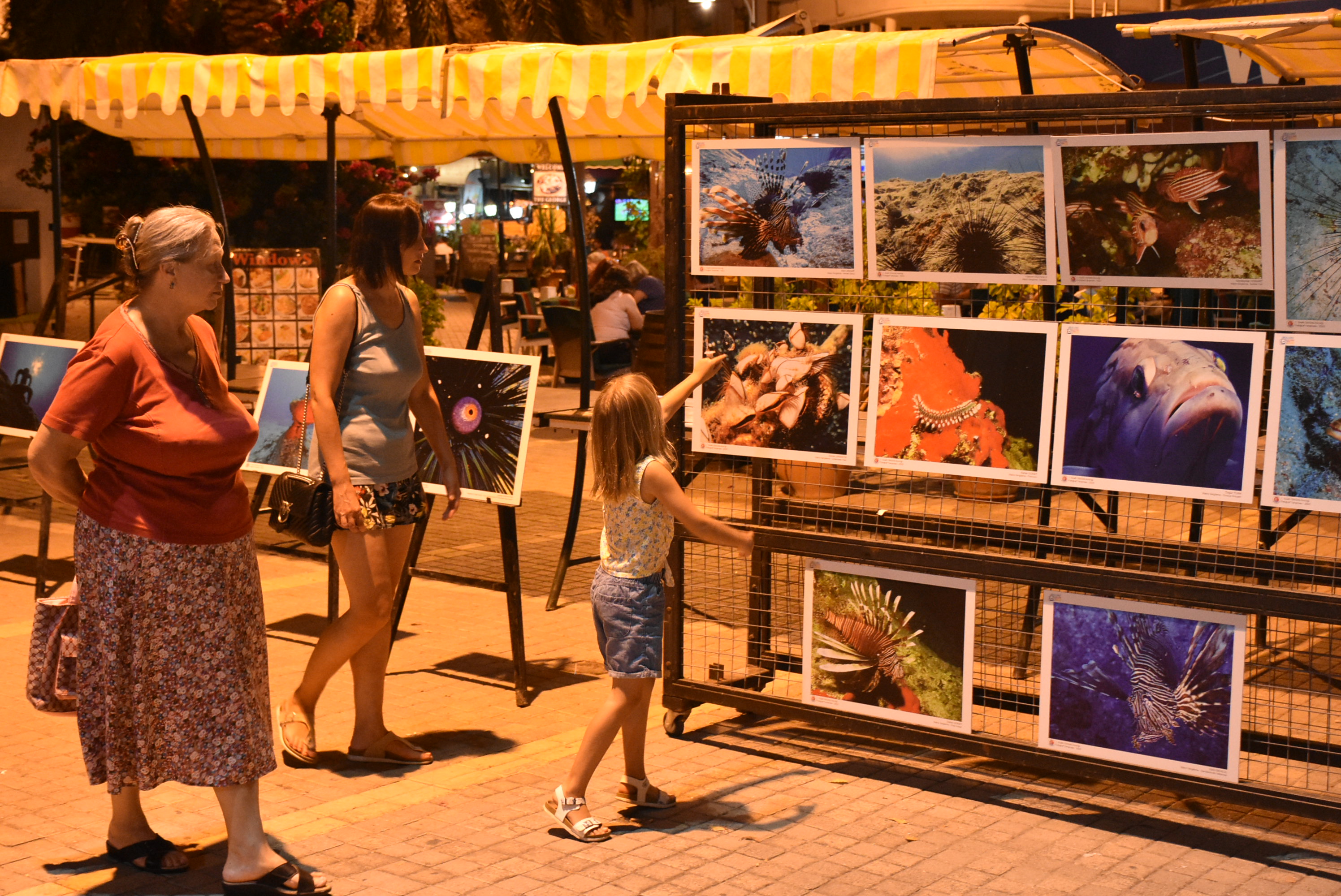 girne-belediyesi-sualti-fotograf-sergisi--4-