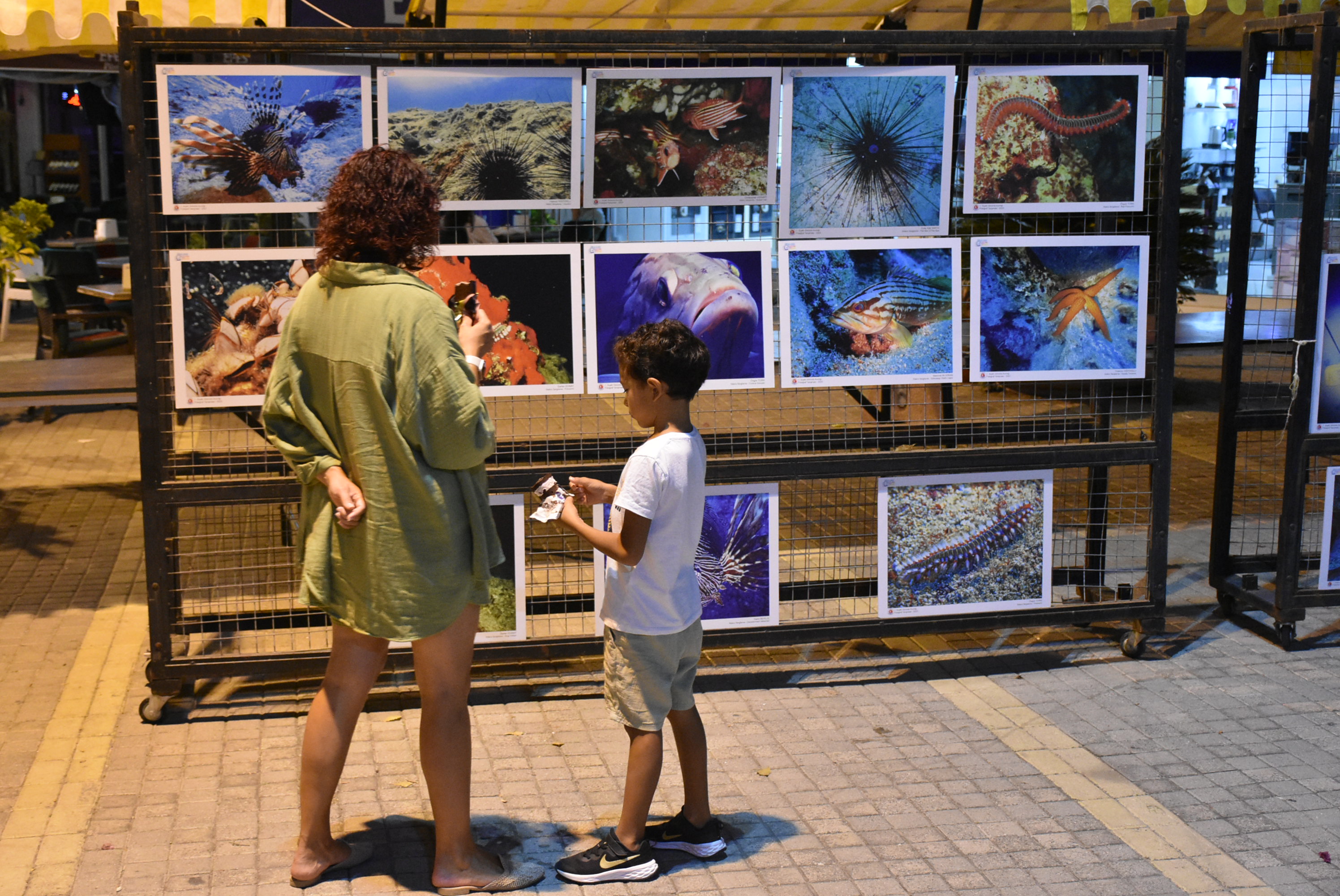 girne-belediyesi-sualti-fotograf-sergisi--5-