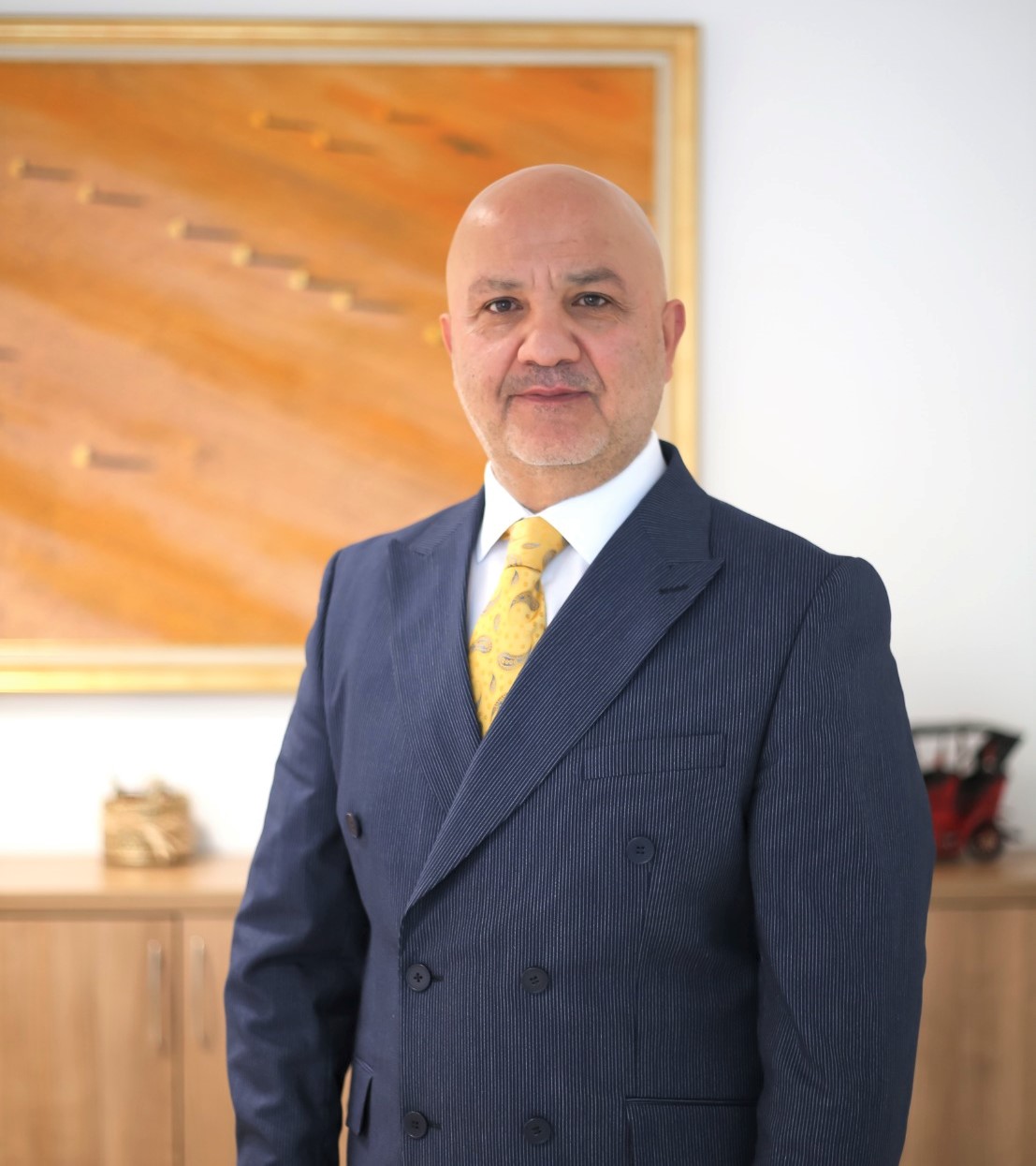 Prof. Dr. Tamer Şanlıdağ-2