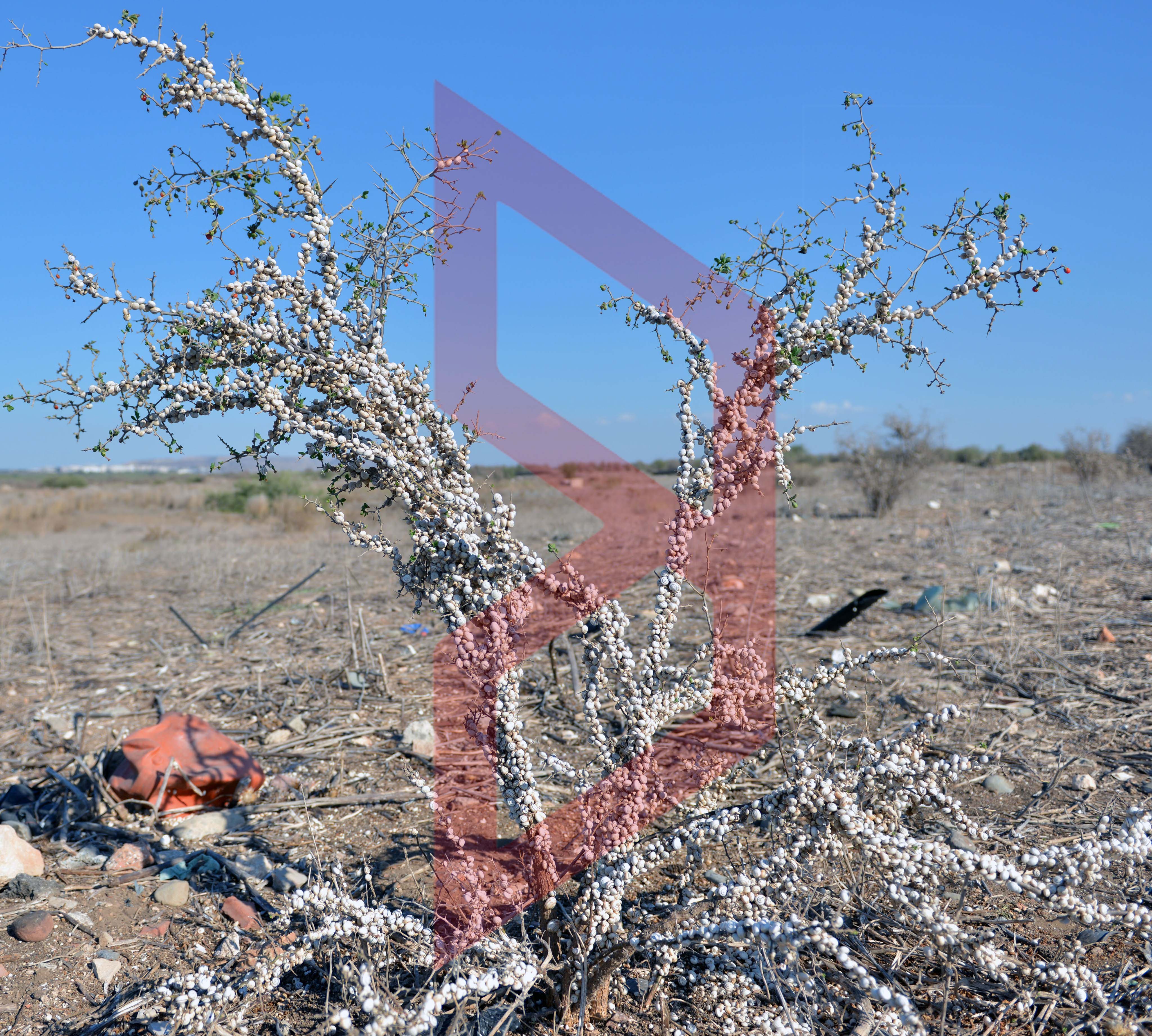 368589570_210406605261561_4175956745913964689_n