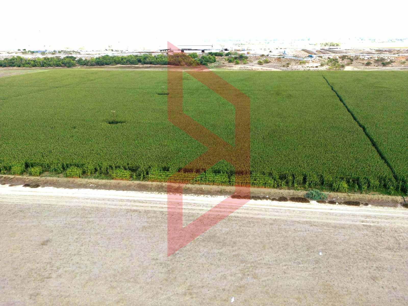 370131728_6917505281603987_3096357561447854385_n