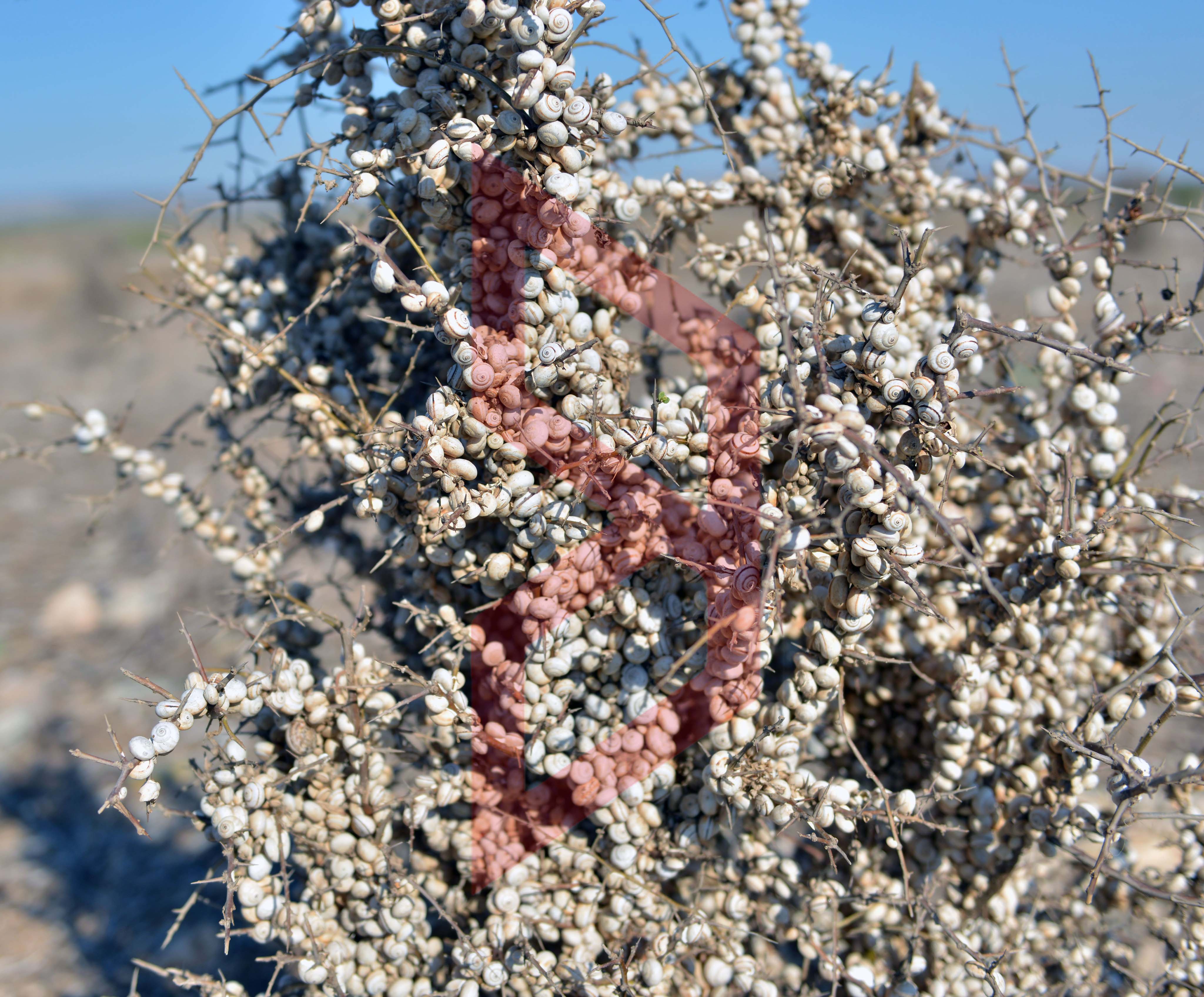 370208009_659064552674402_1437705790849147080_n