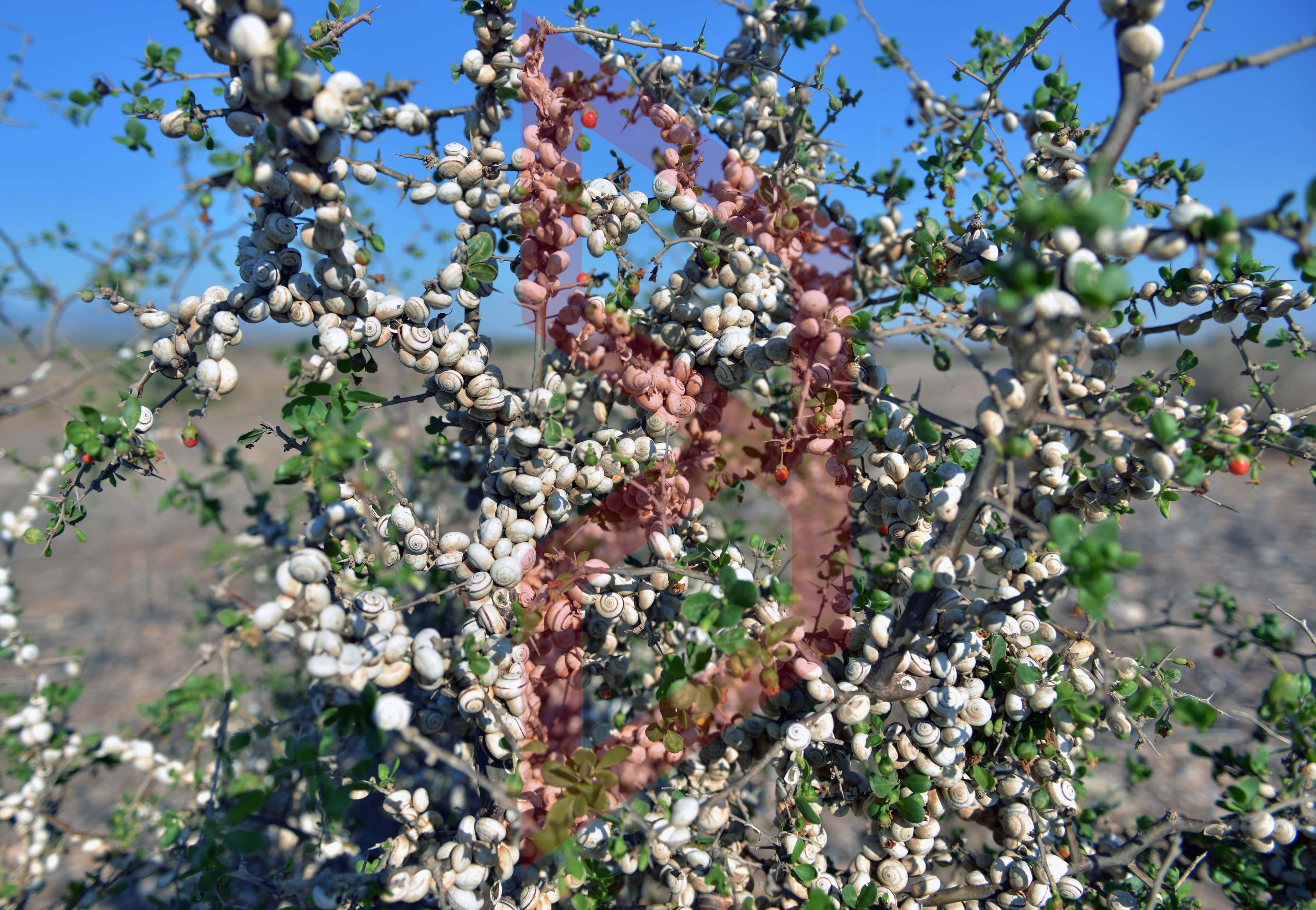 370213364_842672517356015_8248085141405717216_n