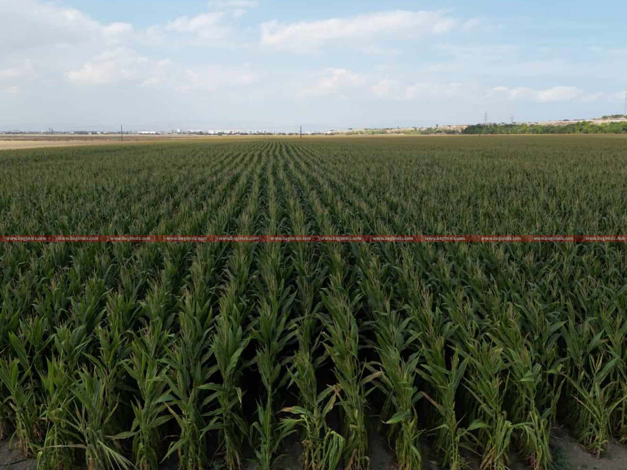 370223372_333444345836153_2387669942659297760_n