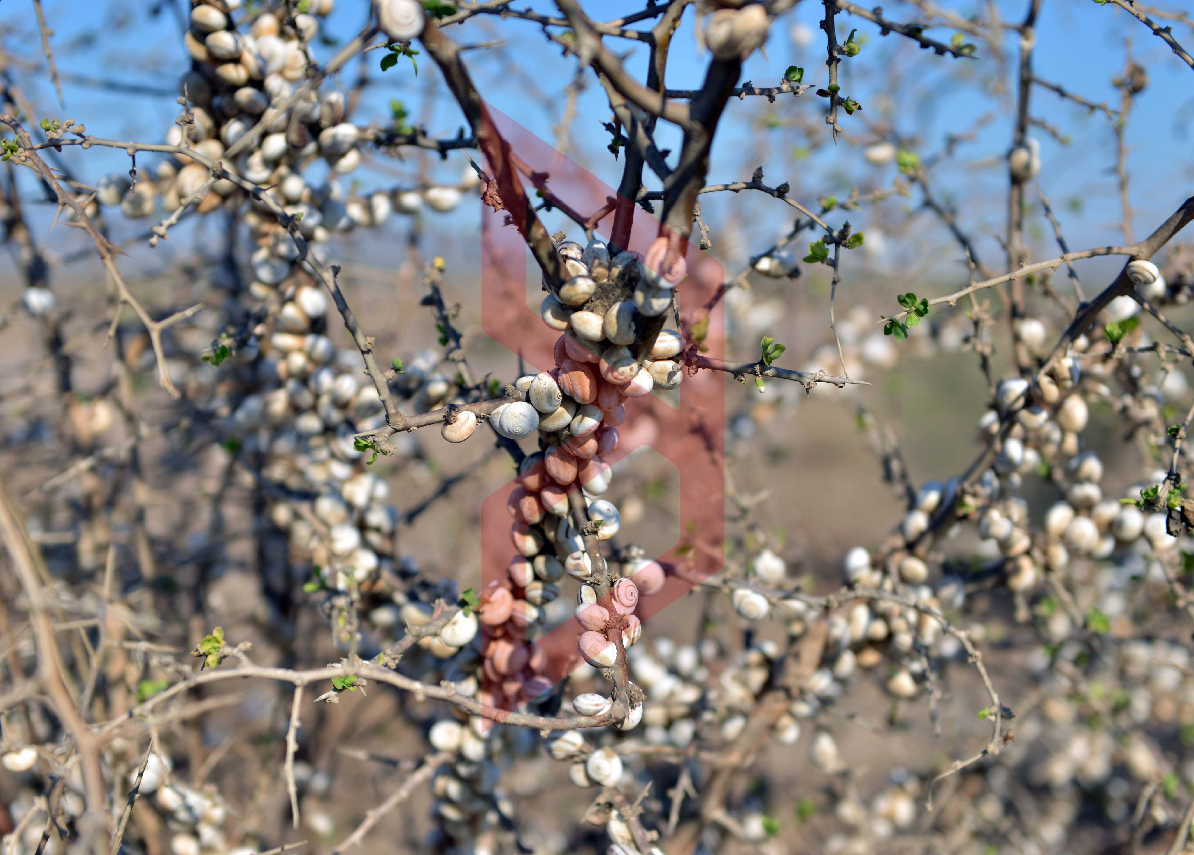 370223372_801750825286850_5929426069074254311_n