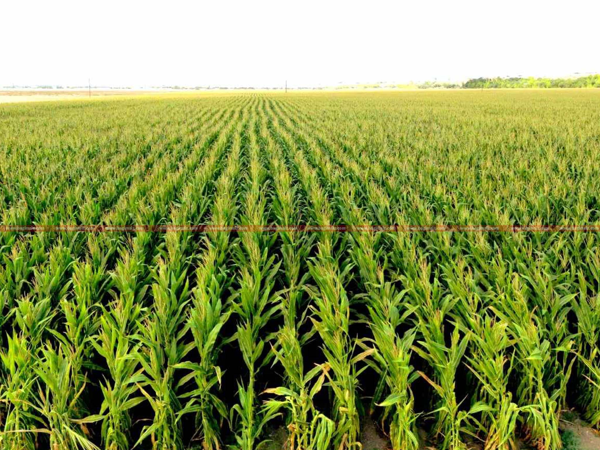 370270296_343489534808615_3595808974197403700_n