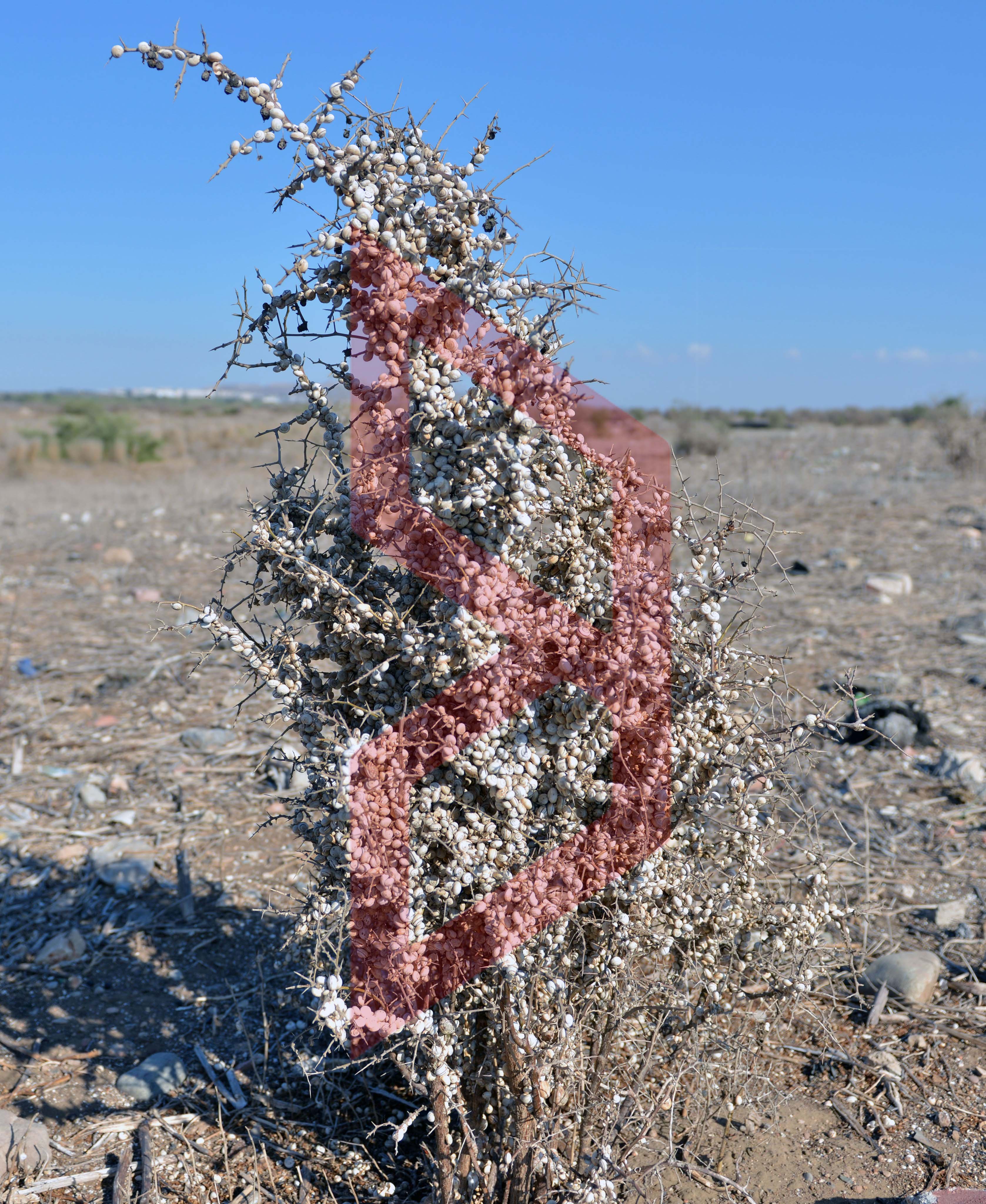 370284317_336153952261800_7493575311203554616_n