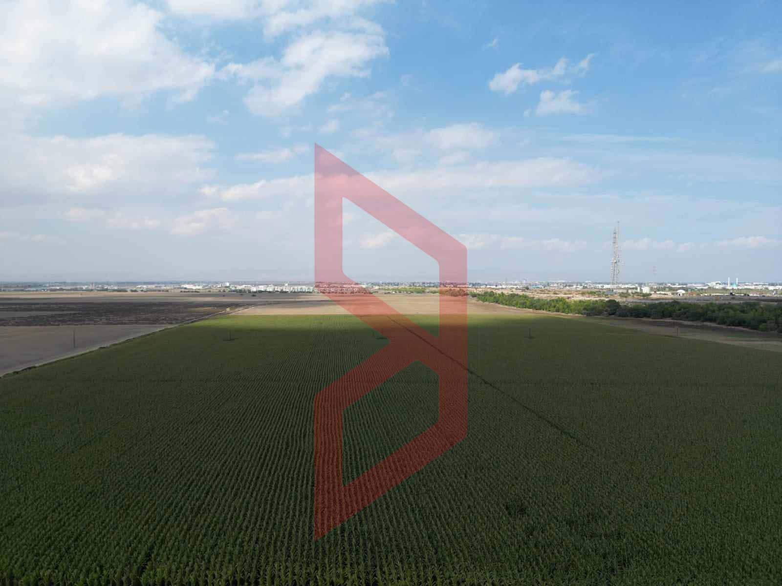 387476704_1459198168252531_5298136861918320807_n