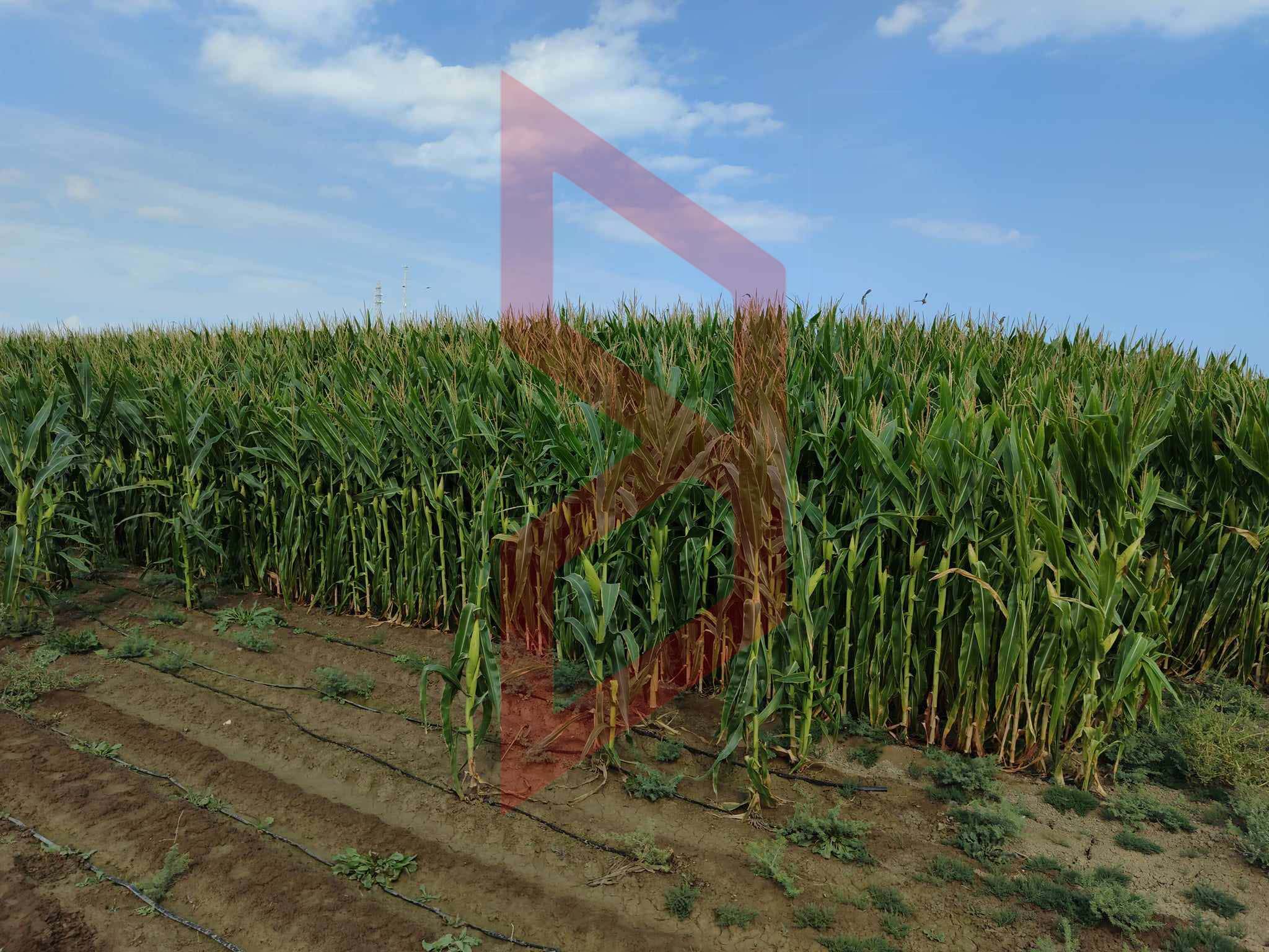 387530848_3454698864860816_801210096191126462_n