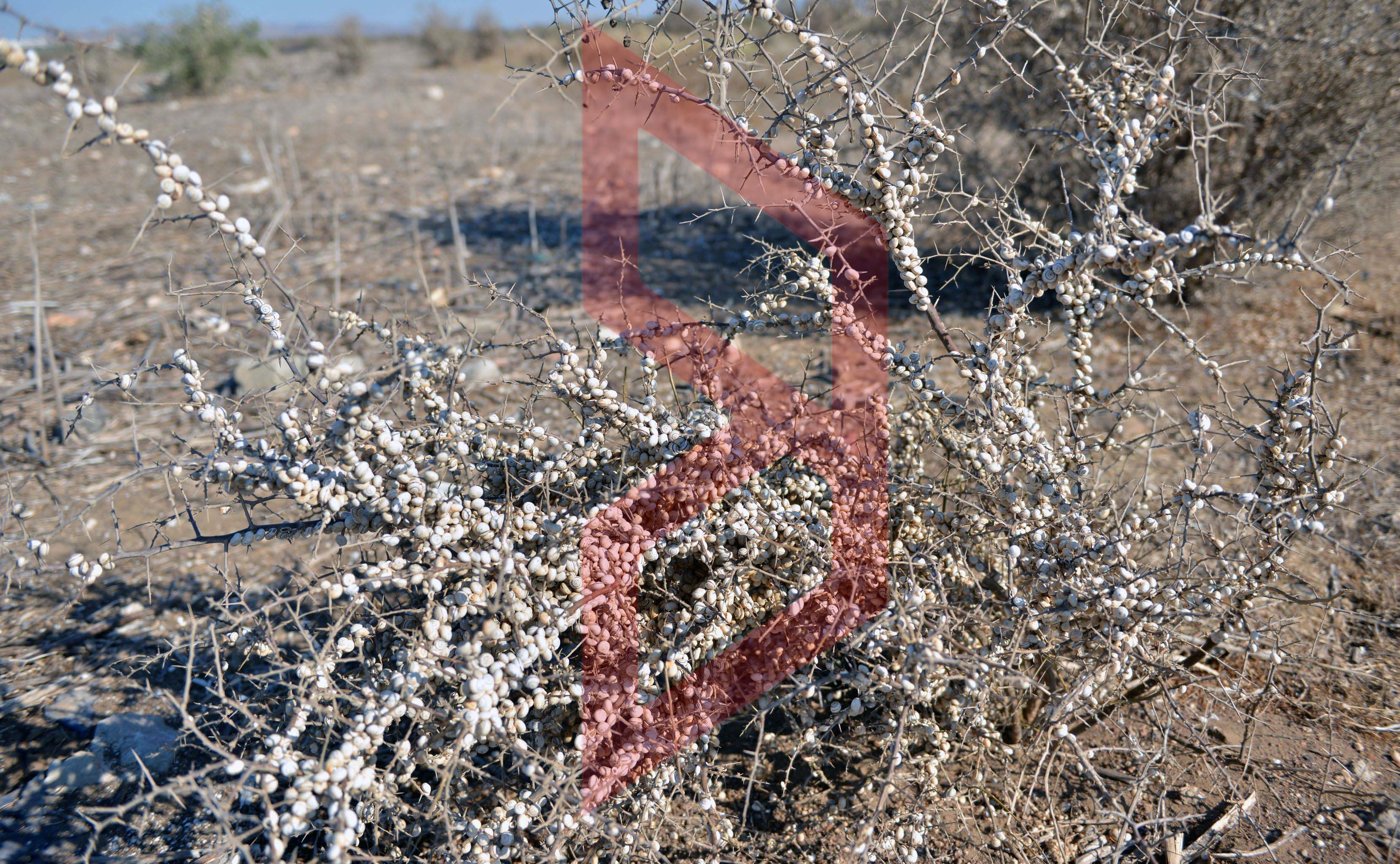 387549394_133982546469978_2341324833076544813_n