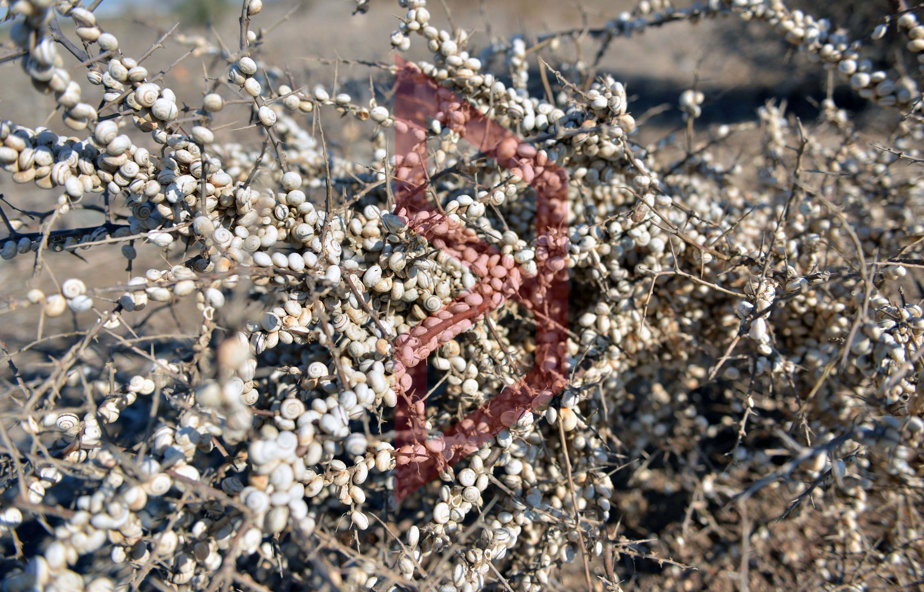 387577128_844243873890847_2300526911756906515_n