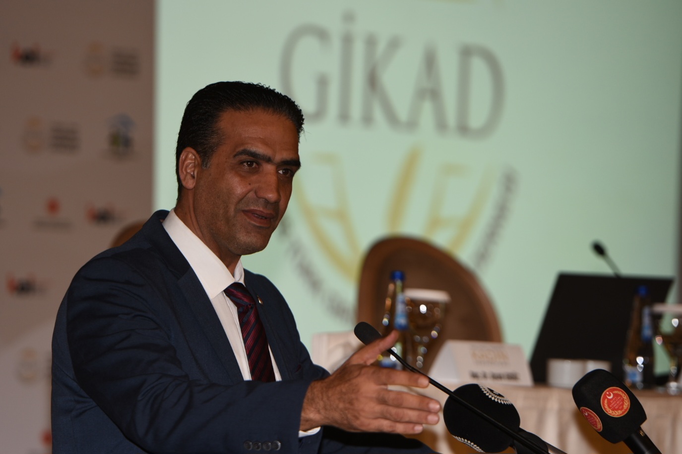 gikad-seminer-son-ero--4-