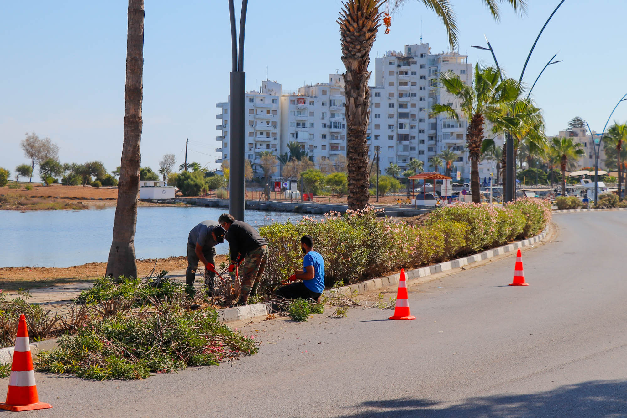 magusa-bld-laguna-bolgesi-budama-cevre-duzenleme--1-