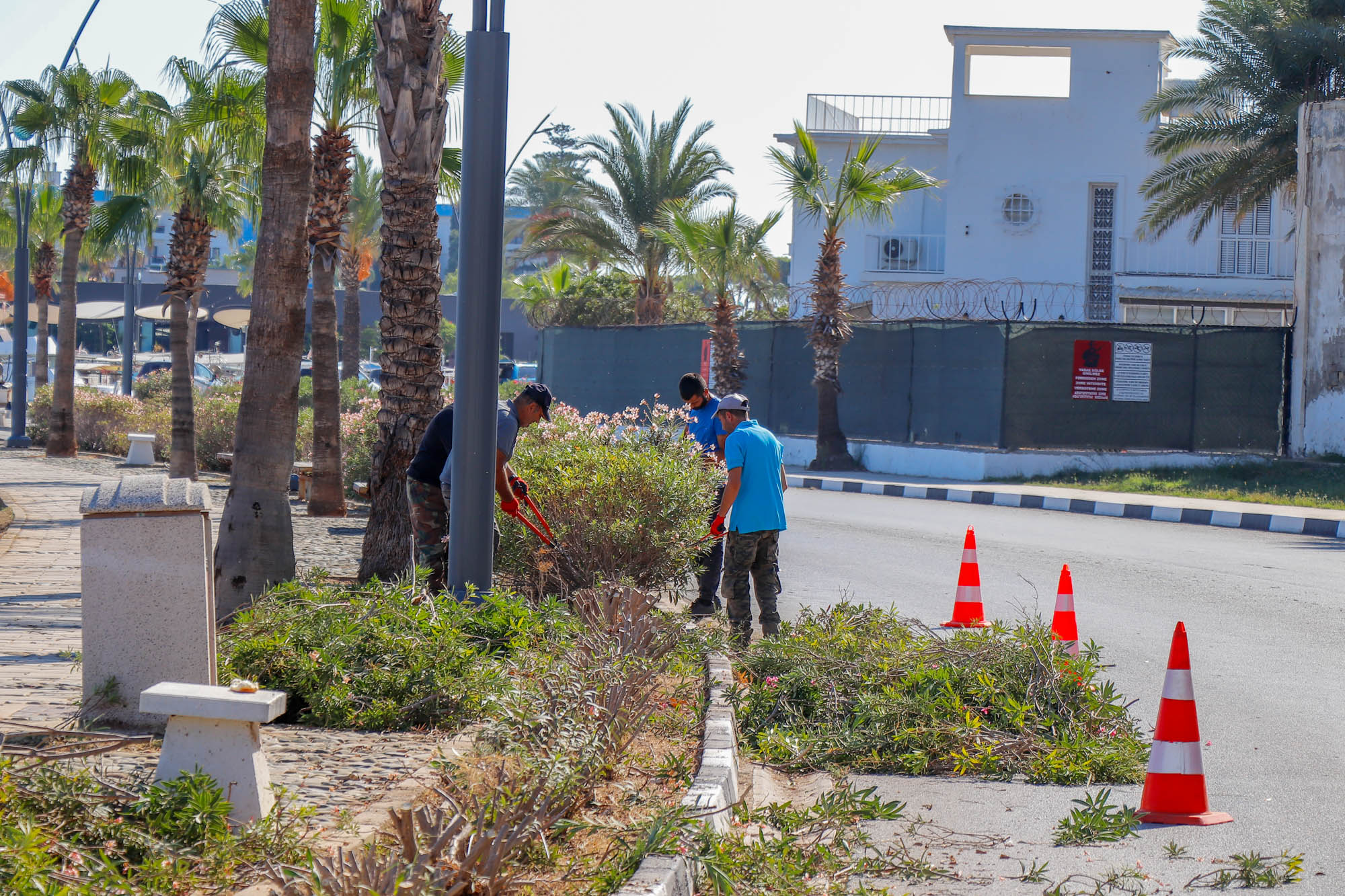 magusa-bld-laguna-bolgesi-budama-cevre-duzenleme--3-