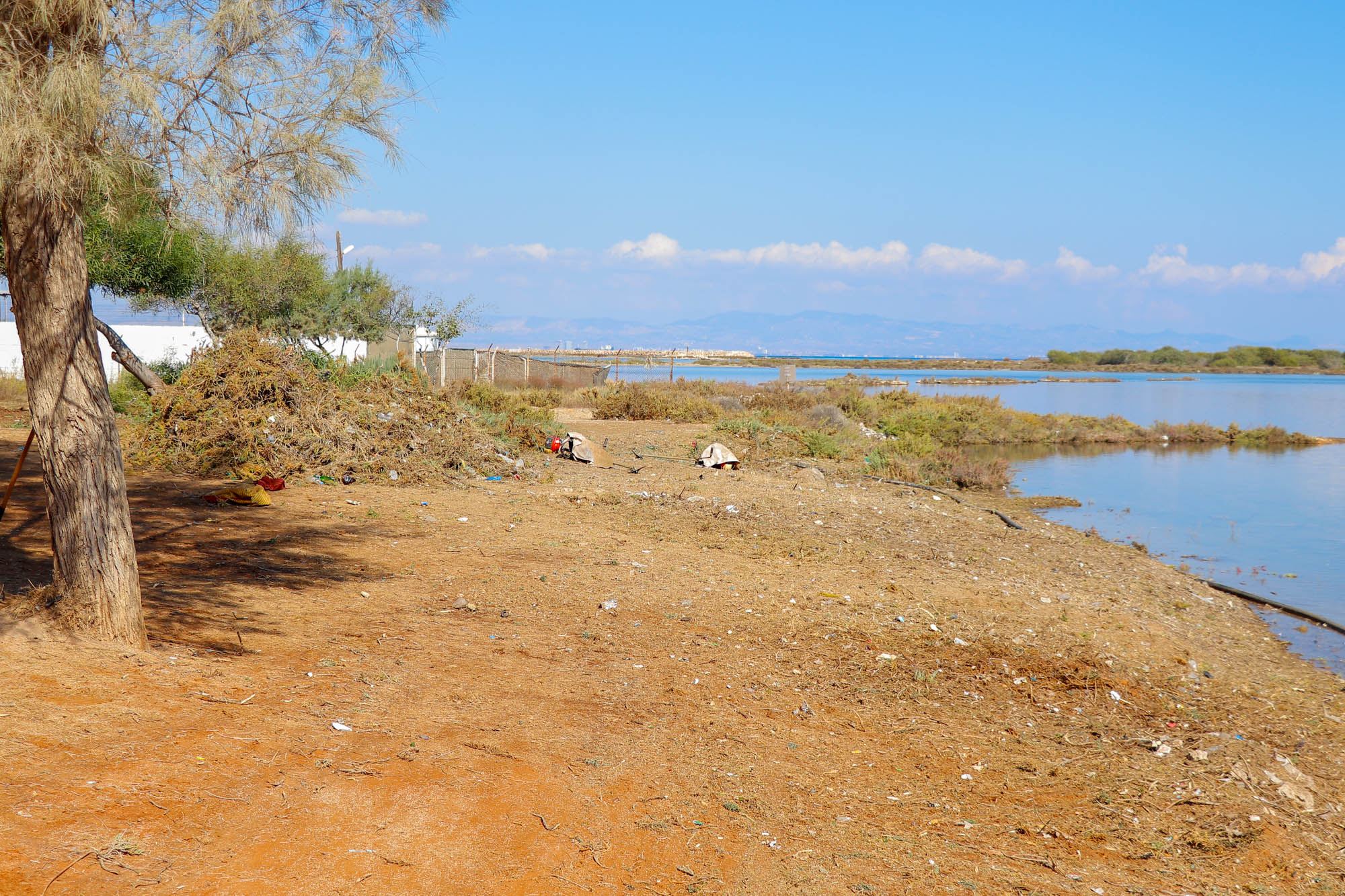 magusa-bld-laguna-bolgesi-budama-cevre-duzenleme--4-