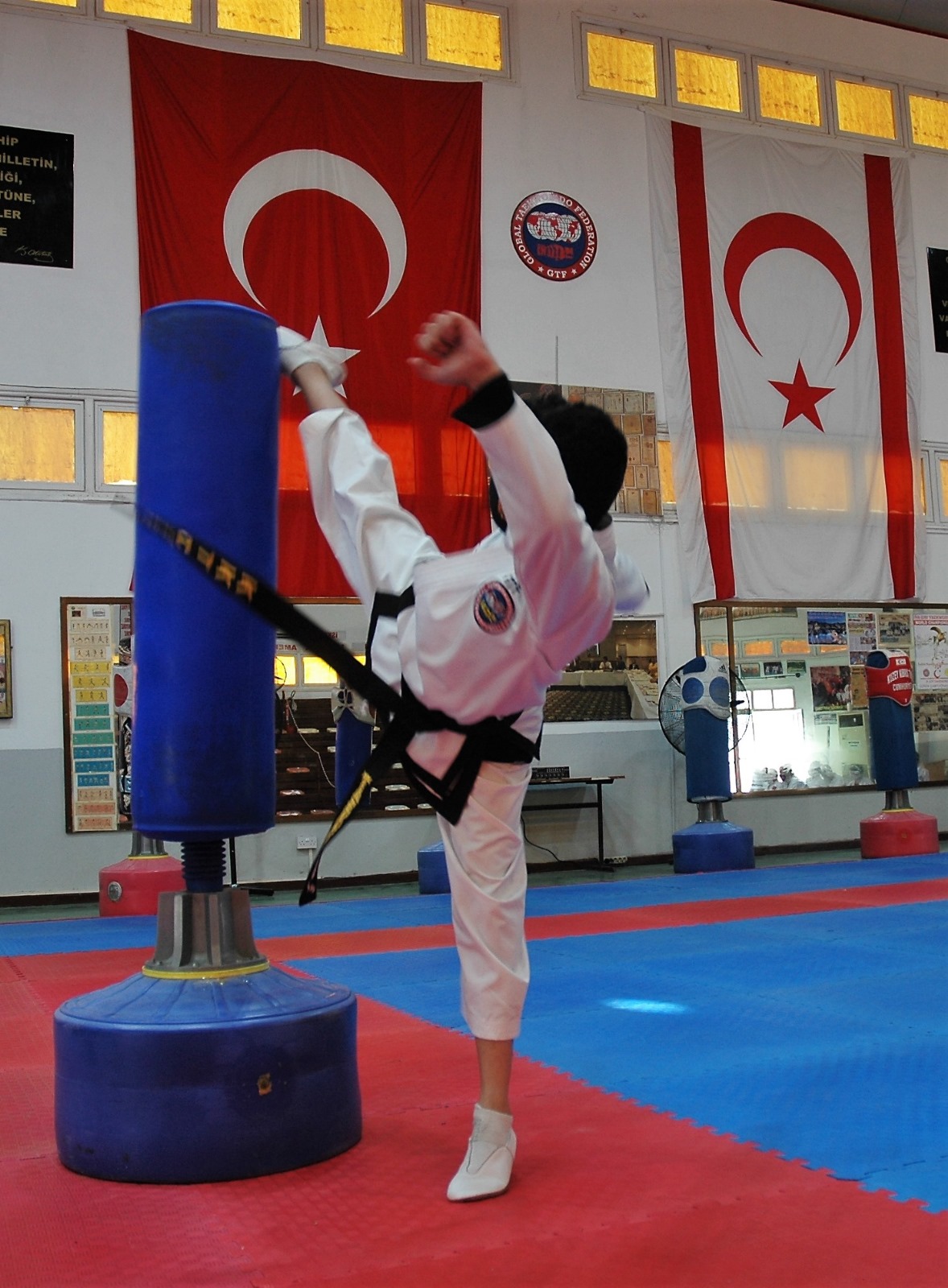 taekwondo 1 (1)