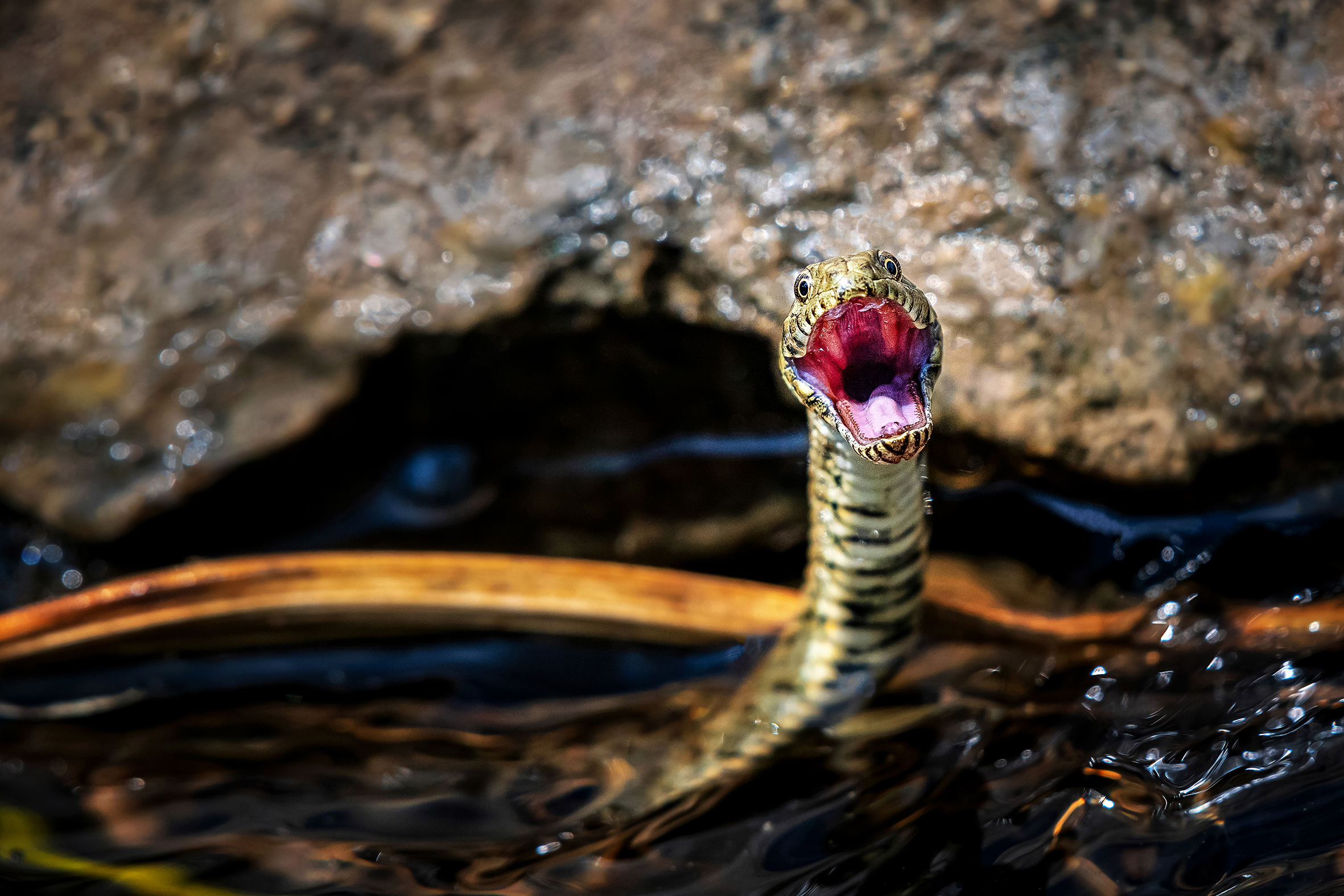 32 Devlet Fotograf Yarismasi3