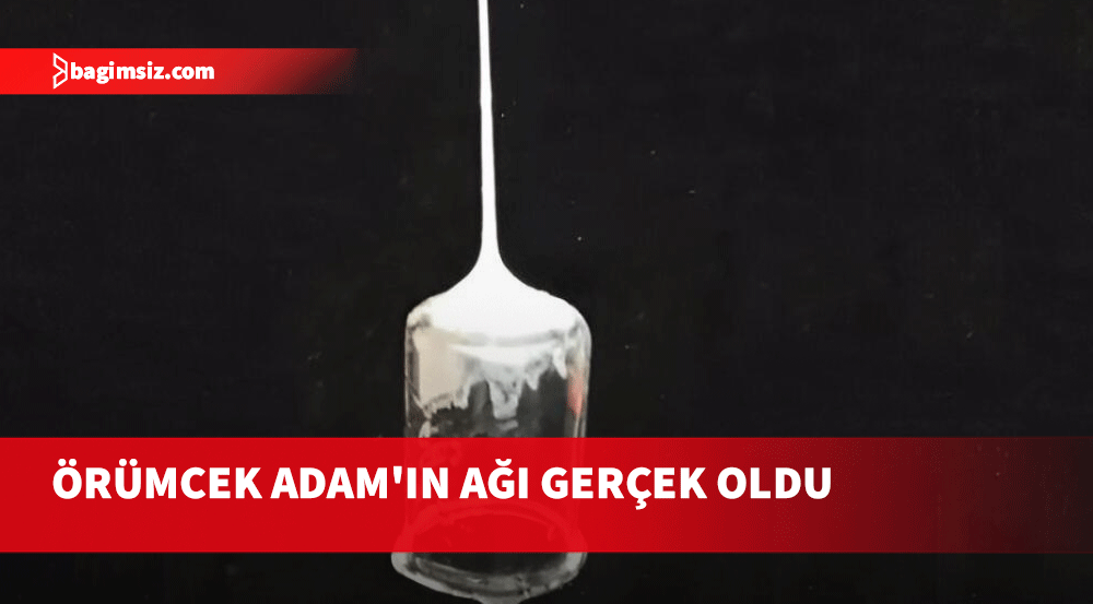 Örümcek Adam'ın ağı gerçek oldu