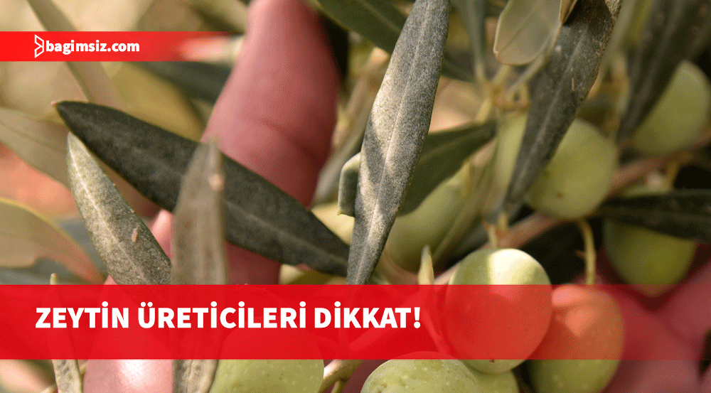 Zeytin ve zeytin ürünleri işletmelerinin kayıt ve onay zorunluluğu hatırlatıldı