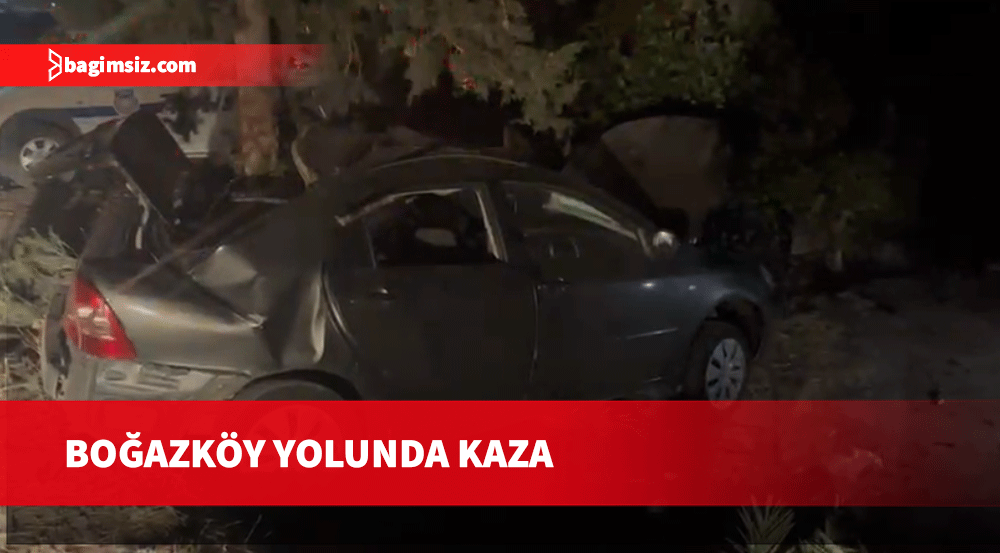 Araç ağaca çarptı, bir kişi yaralandı