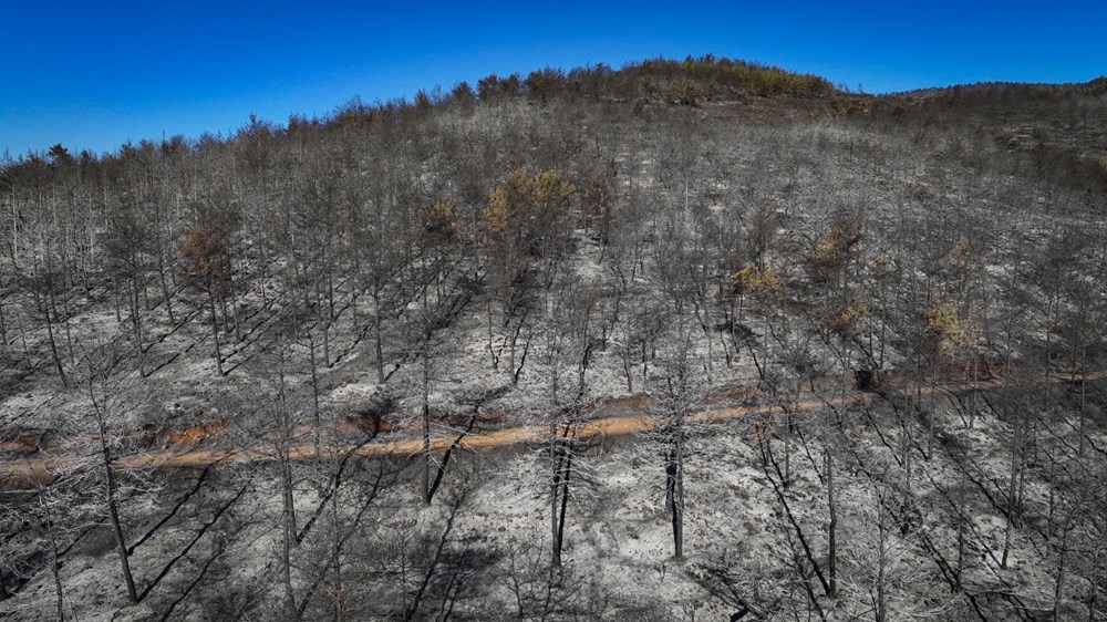 Mwcc Hfhrc0 Cjp3P6 Zg Q9Rg