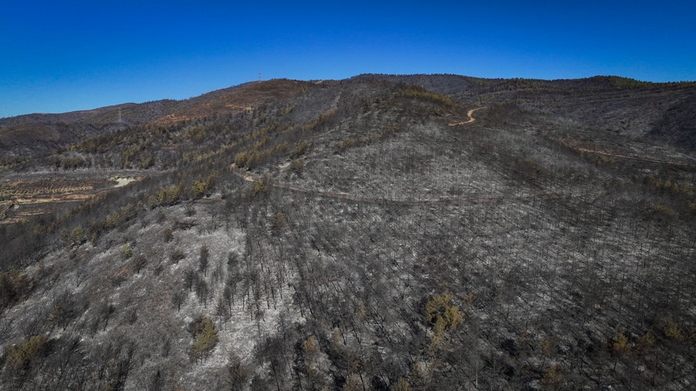 Su Jg6 R Gm5 E Gay M J R8P04G