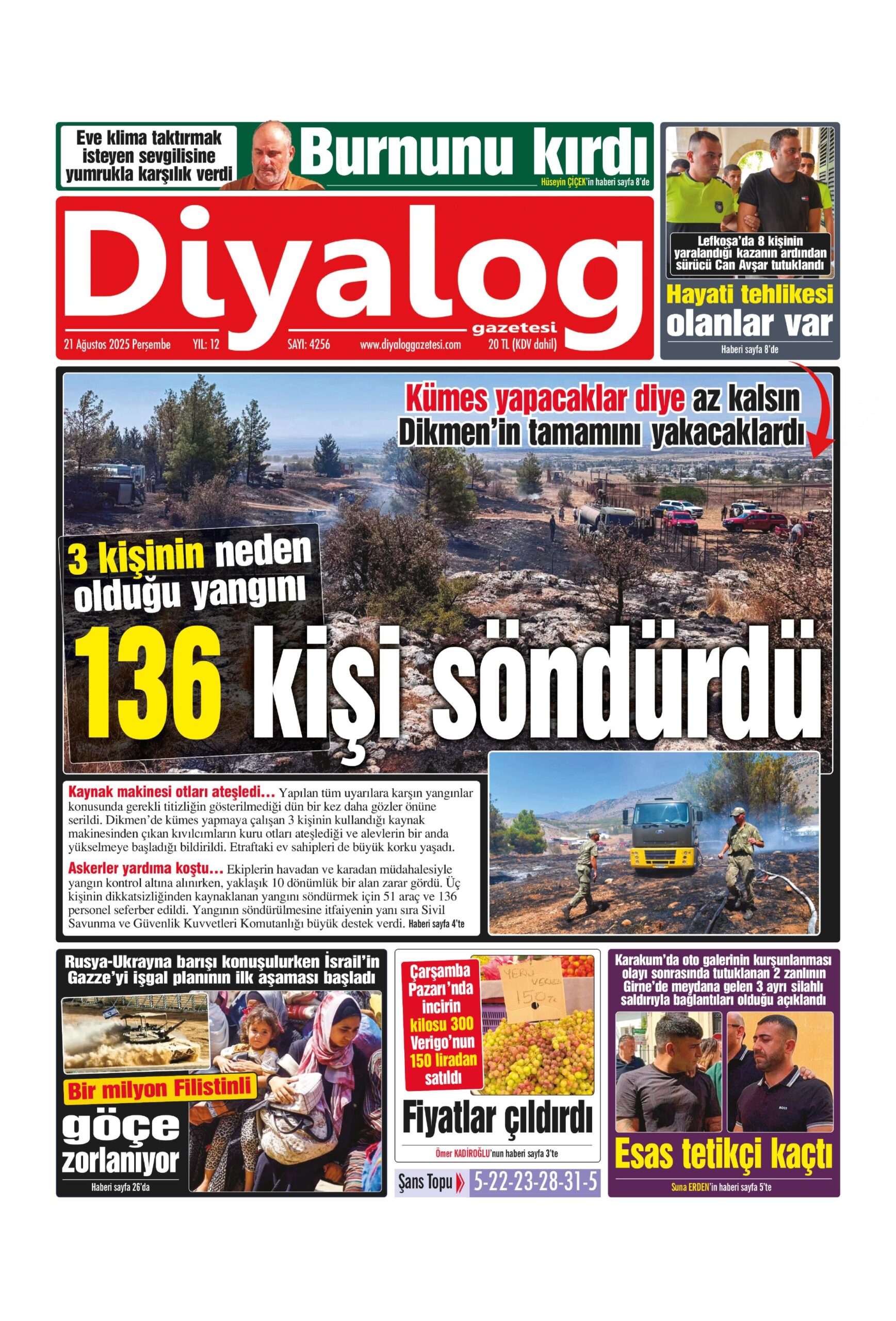 D I Y A L O G 20250821 Scaled