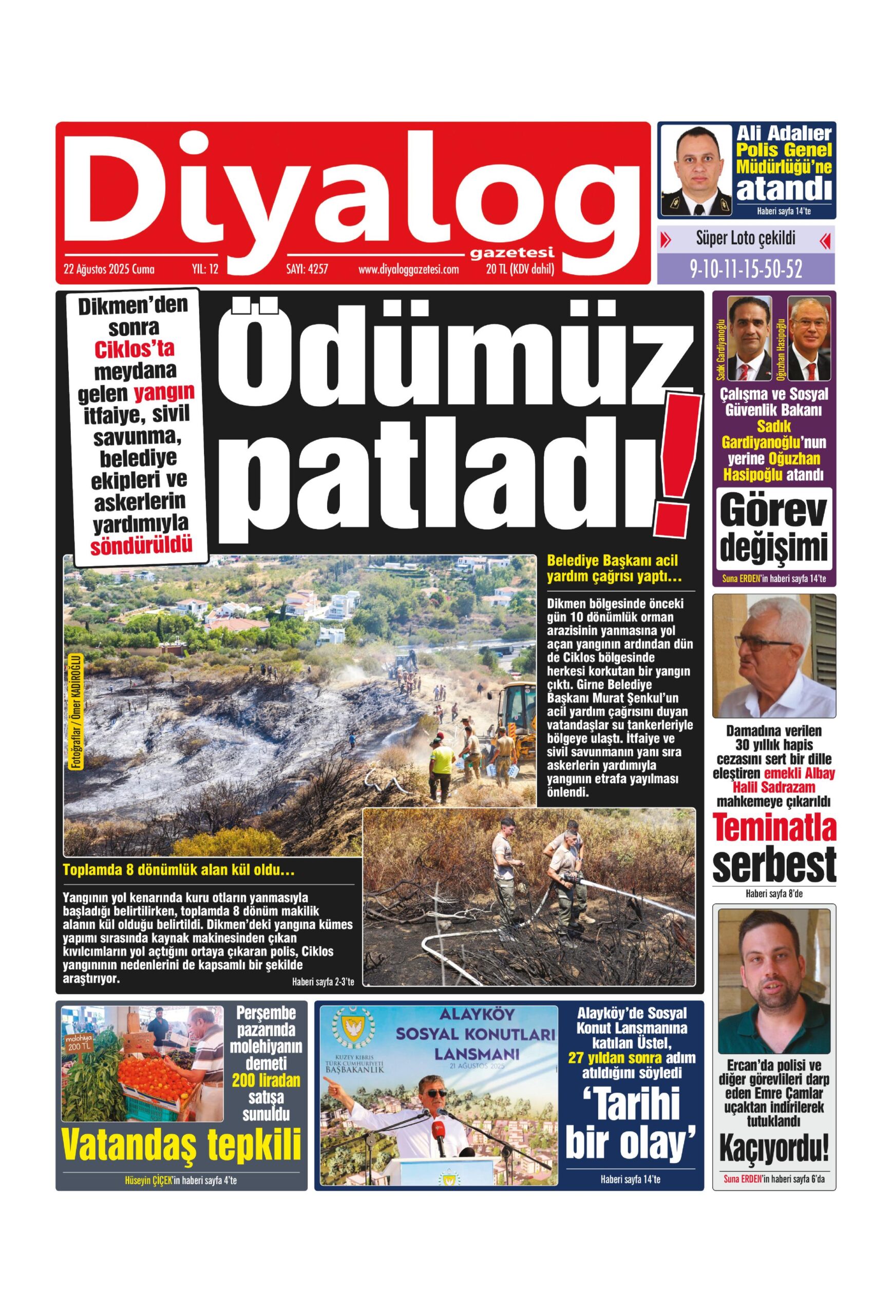 D I Y A L O G 20250822 1 Scaled