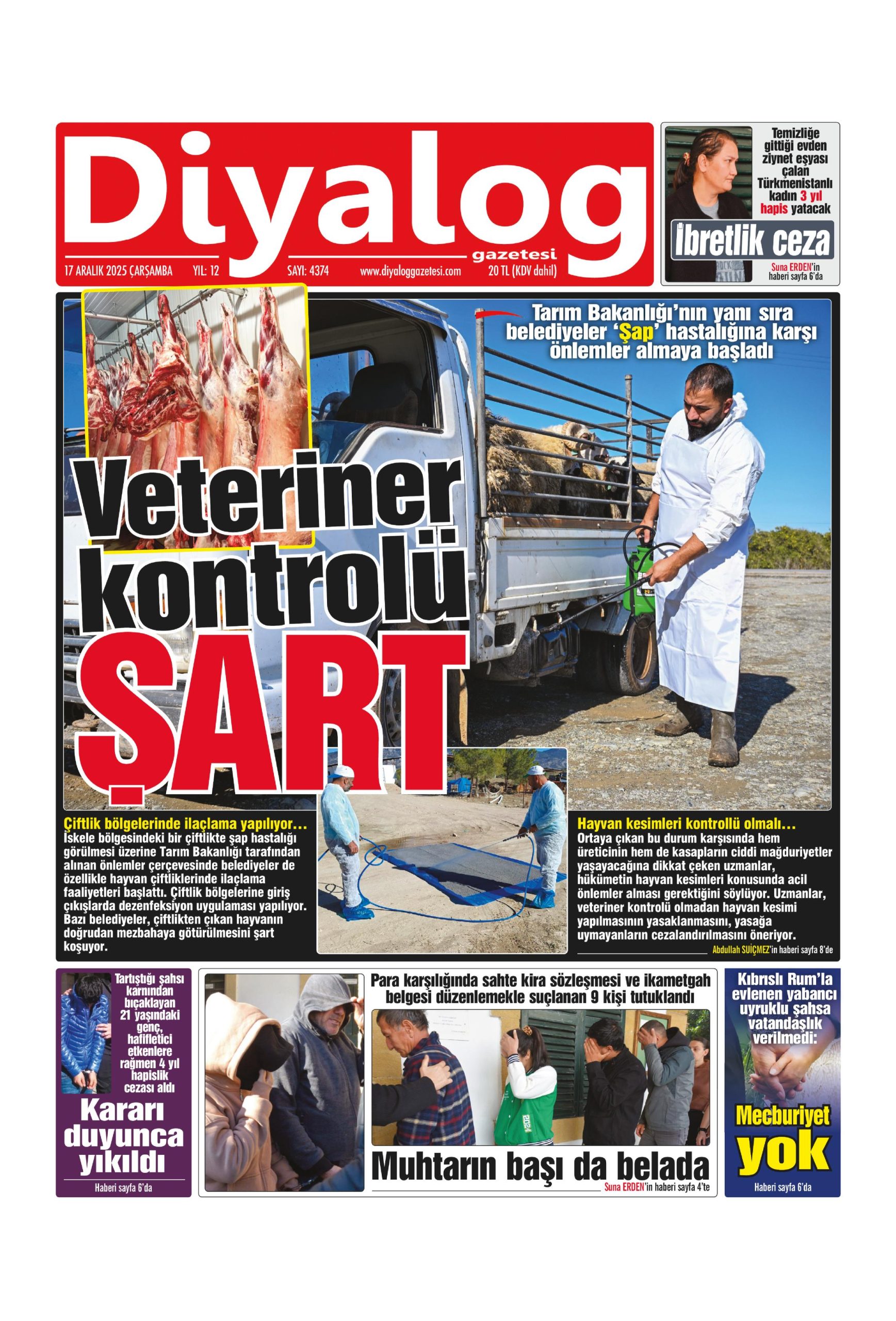 D I Y A L O G 20251217 Scaled