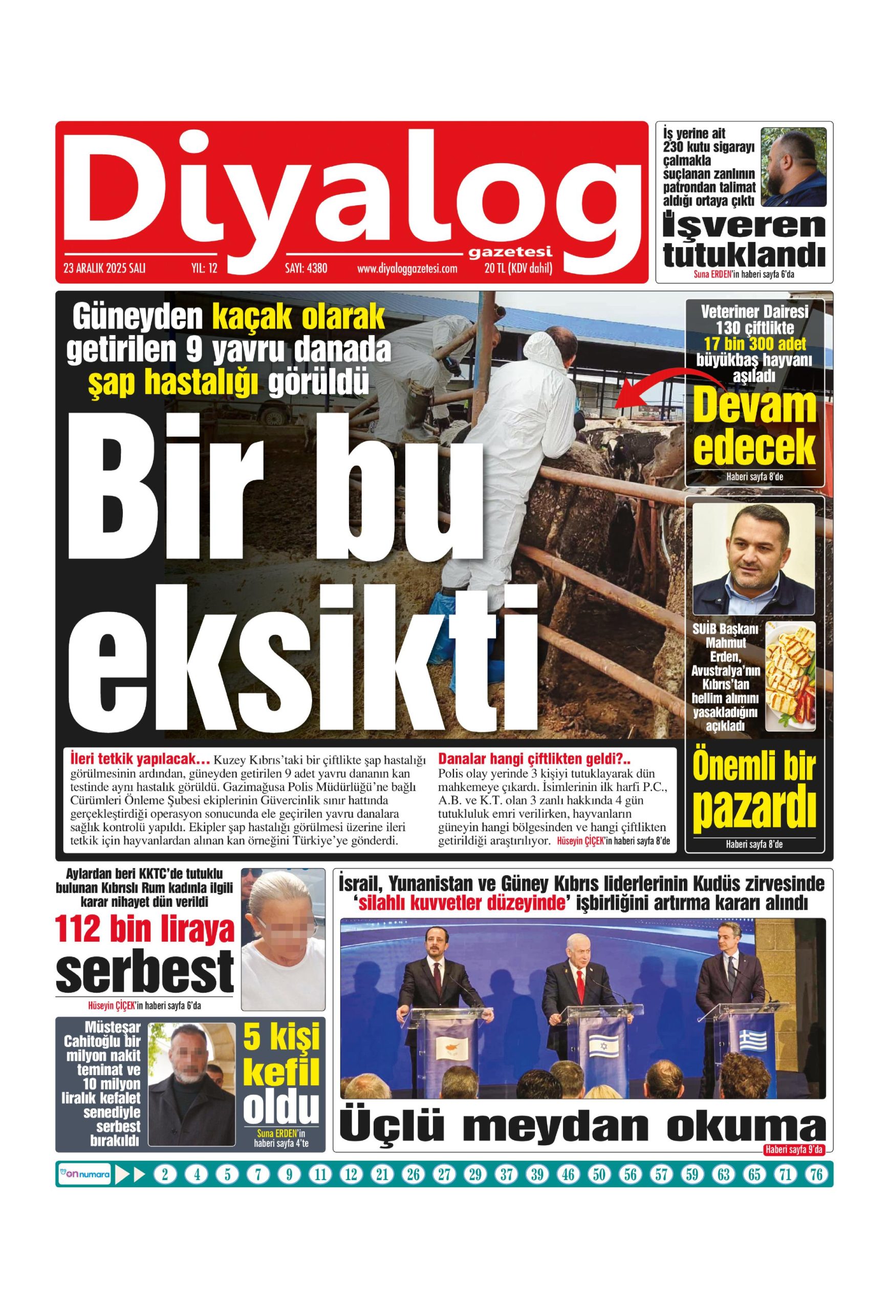 D I Y A L O G 20251223 Scaled