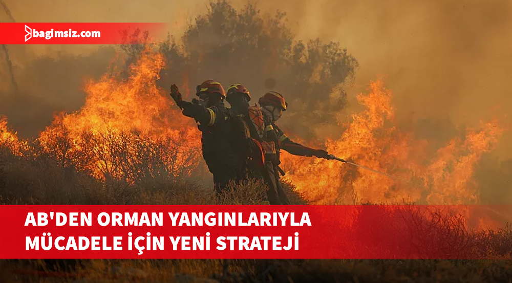 Güney Kıbrıs’ta "Avrupa yangınla mücadele merkezi" kurulması planlanıyor