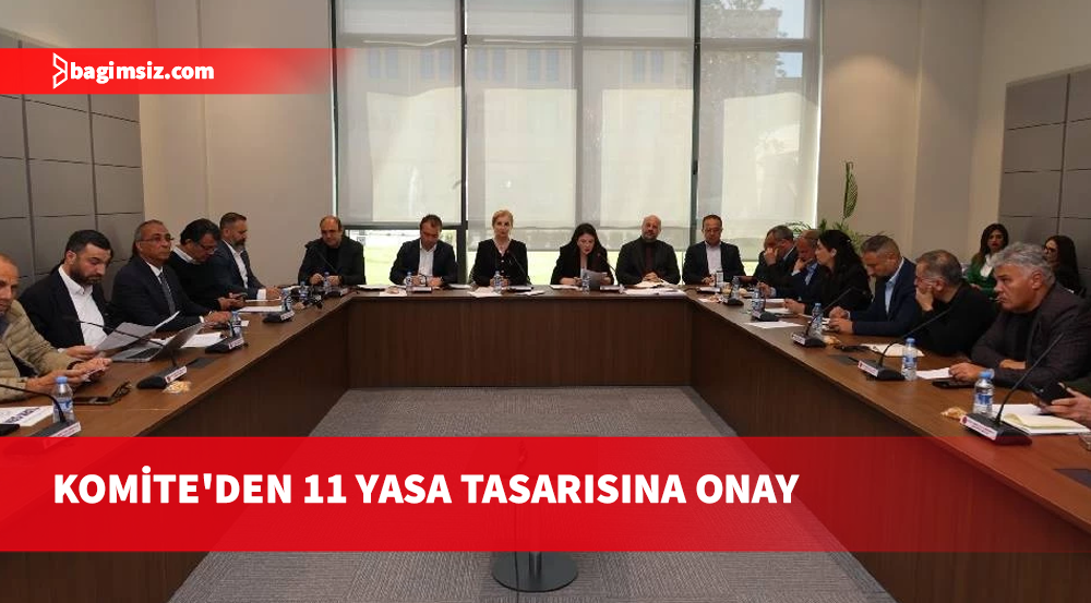 Ekonomi, Maliye, Bütçe ve Plan Komitesi, 11 yasa tasarısını onaylayarak Genel Kurul'a sevk etti