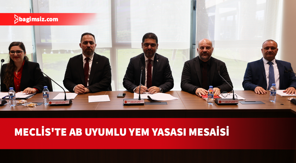 Avrupa Birliği Uyum Yasa Tasarılarını Görüşmek Üzere Oluşturulan Geçici ve Özel Komite toplandı