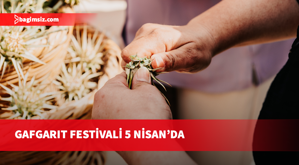 Yiğitler Gafgarıt Festivali 5 Nisan’da yapılıyor