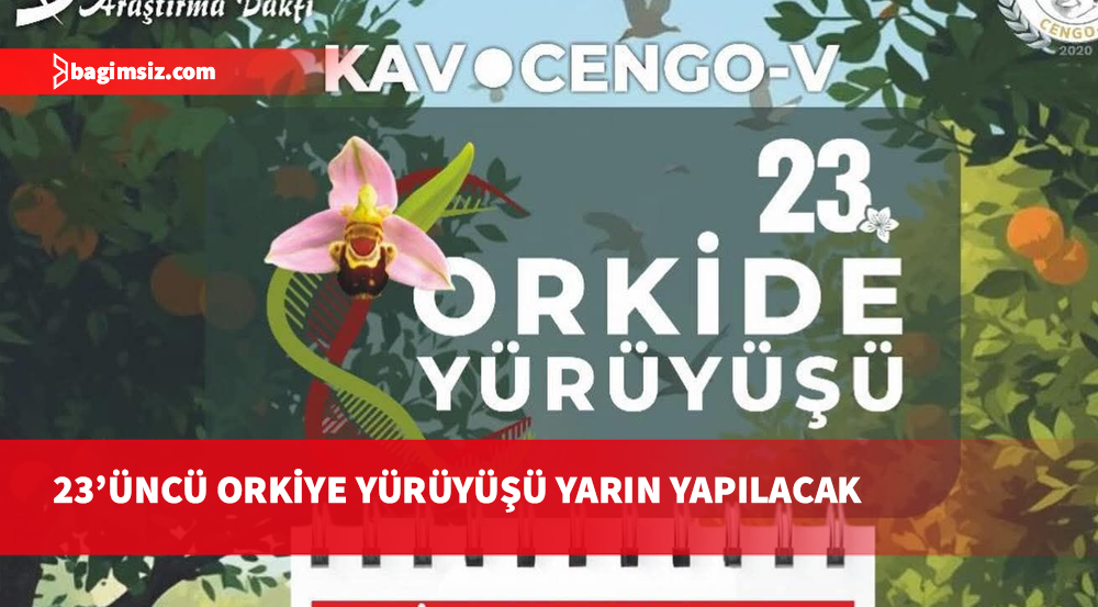 23’üncü Orkide Yürüyüşü yarın Lefke'de yapılacak