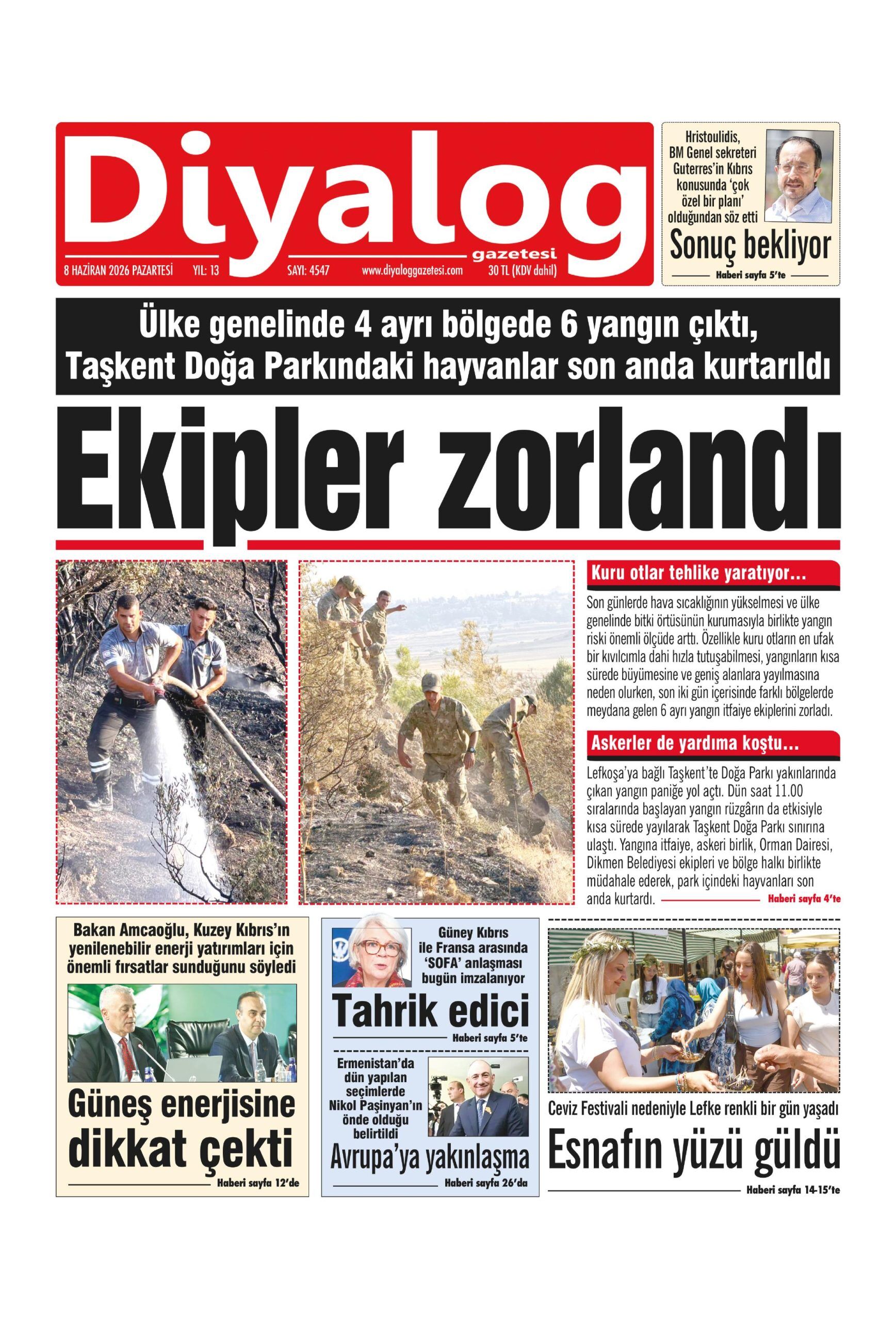 D I Y A L O G 20260608 Scaled