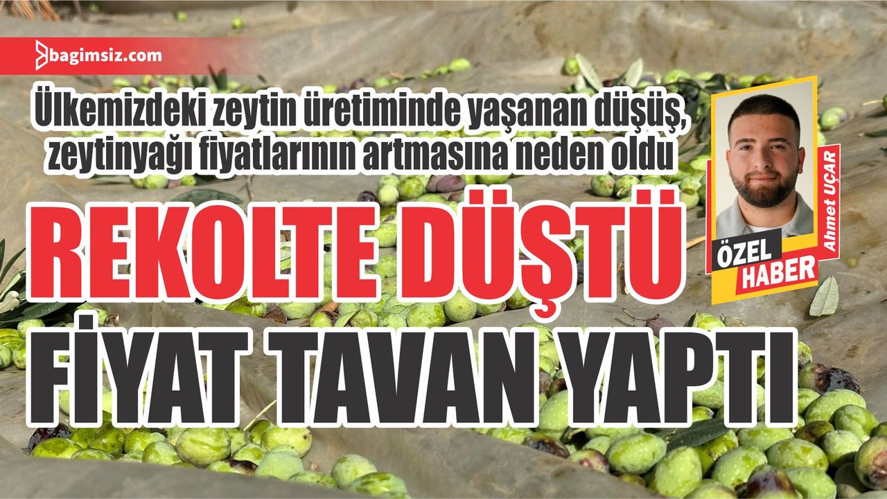 Zeytinyağının market fiyatı 150 TL’den 400 TL’ye çıktı