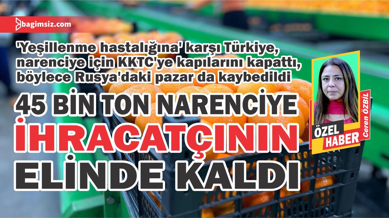 Türkiye, narenciye için KKTC’ye kapılarını kapattı…