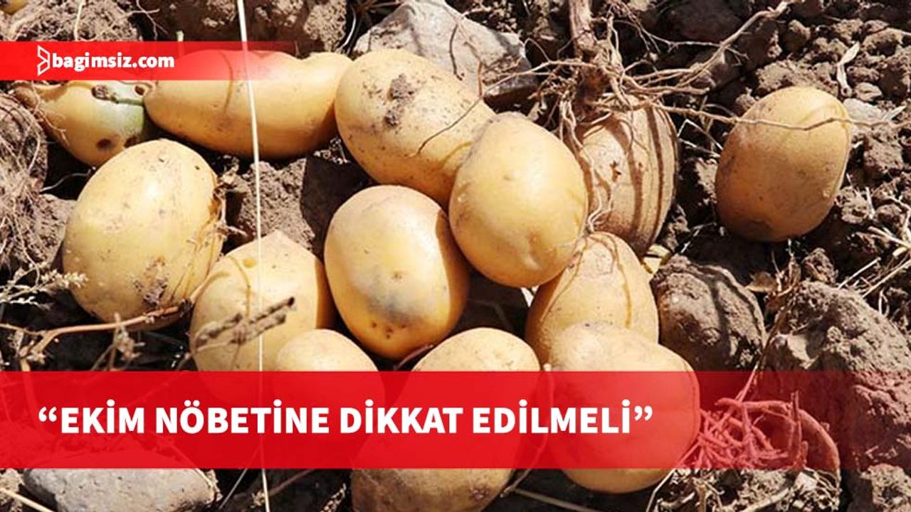 Tarım Dairesi, patates ekimi yapacak üreticilerin dikkat etmesi gereken hususları açıkladı