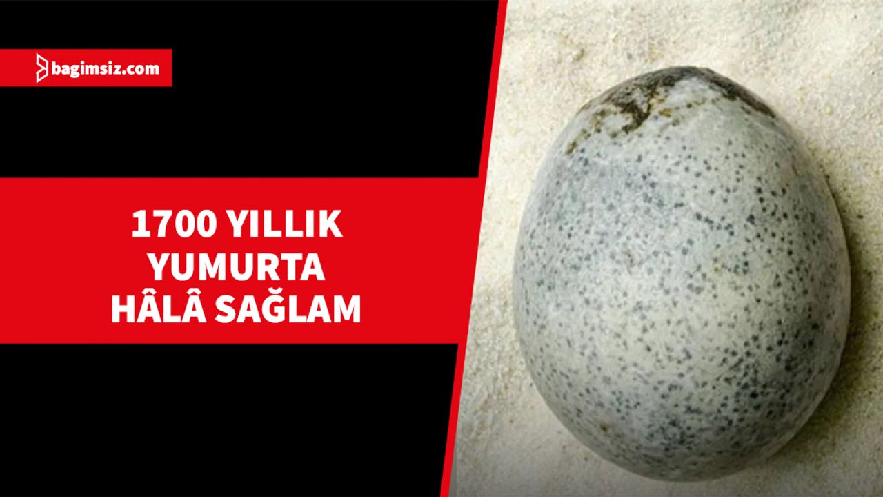 1700 yıllık Roma yumurtasının hâlâ sağlam olduğu keşfedildi