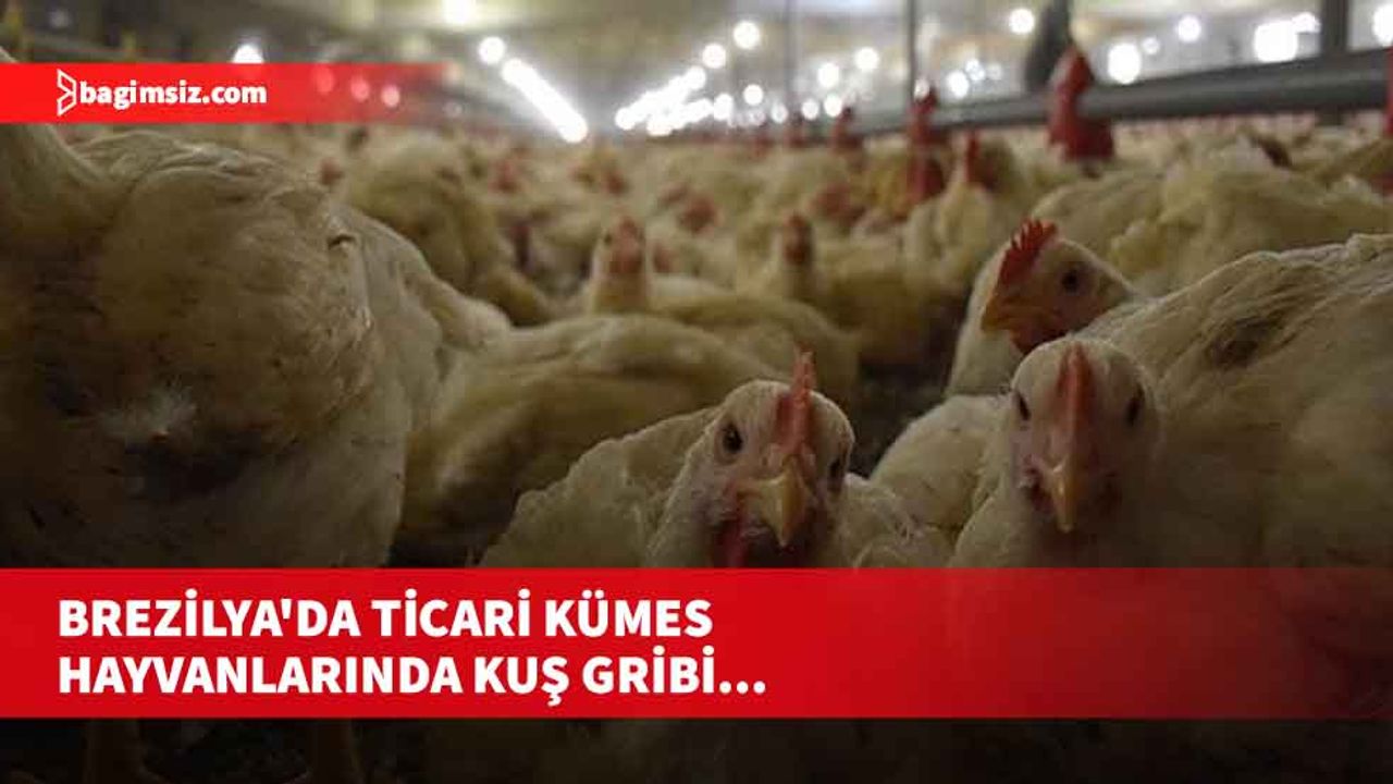 Acil durum ilan edildi