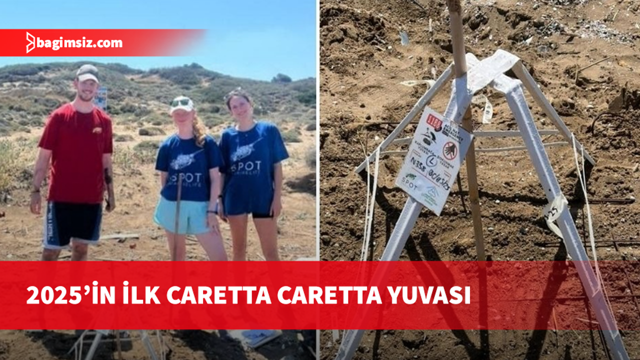 Carettalar Kıbrıs’a döndü