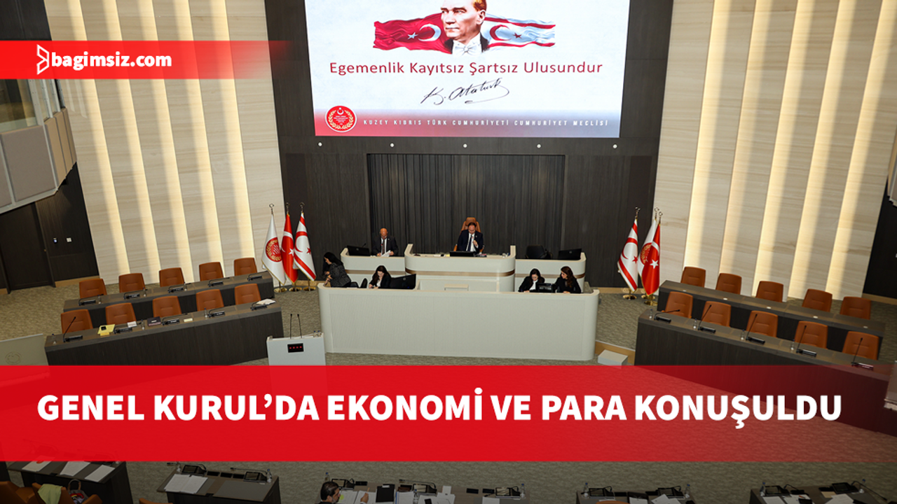 Meclis'te ekonomi ve itibari paranın ülkeye getirilmesi konuşuldu