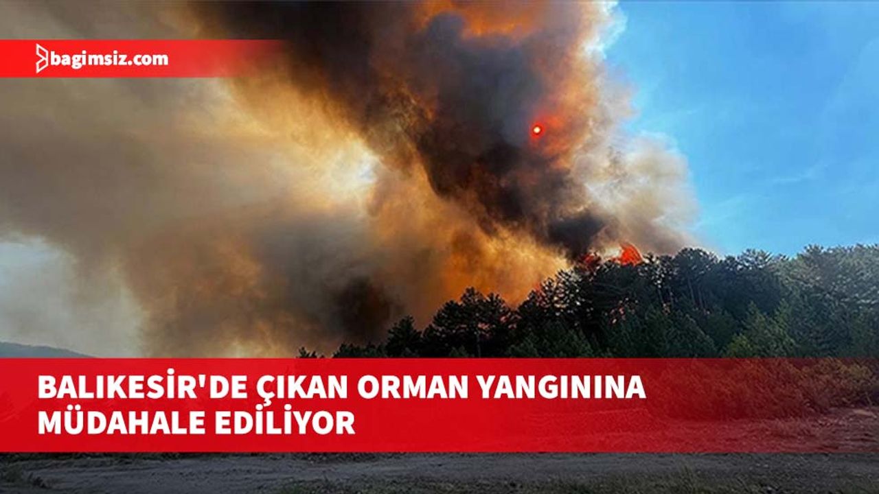 Balıkesir'de çıkan orman yangınına müdahale ediliyor