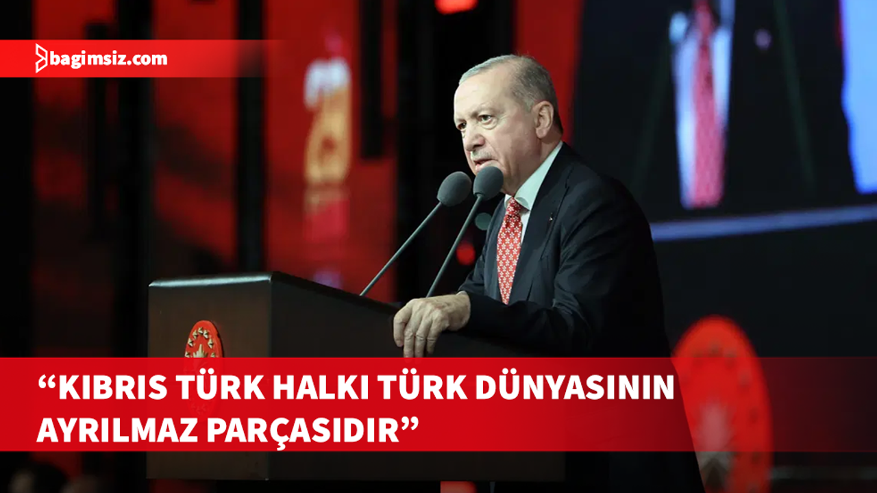 Türkiye Cumhurbaşkanı Erdoğan’dan TDT Zirvesi'nde Kıbrıs mesajı