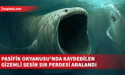 “Bloop” olarak anılan ses, çevrimiçi olarak da paylaşıldı