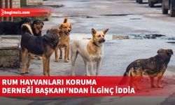 Kuzeyden güneye “ekinokoklu” köpek geçiyormuş